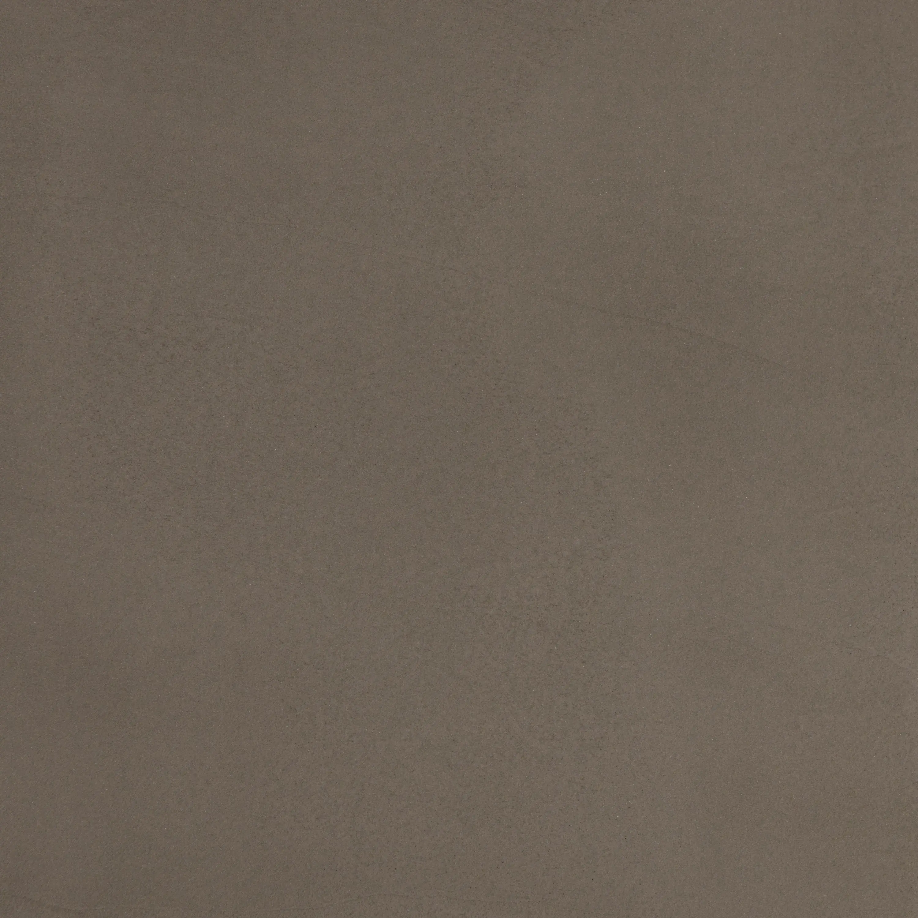 PANDOMO - PANDOMO W1 2.0 - 17/4.2