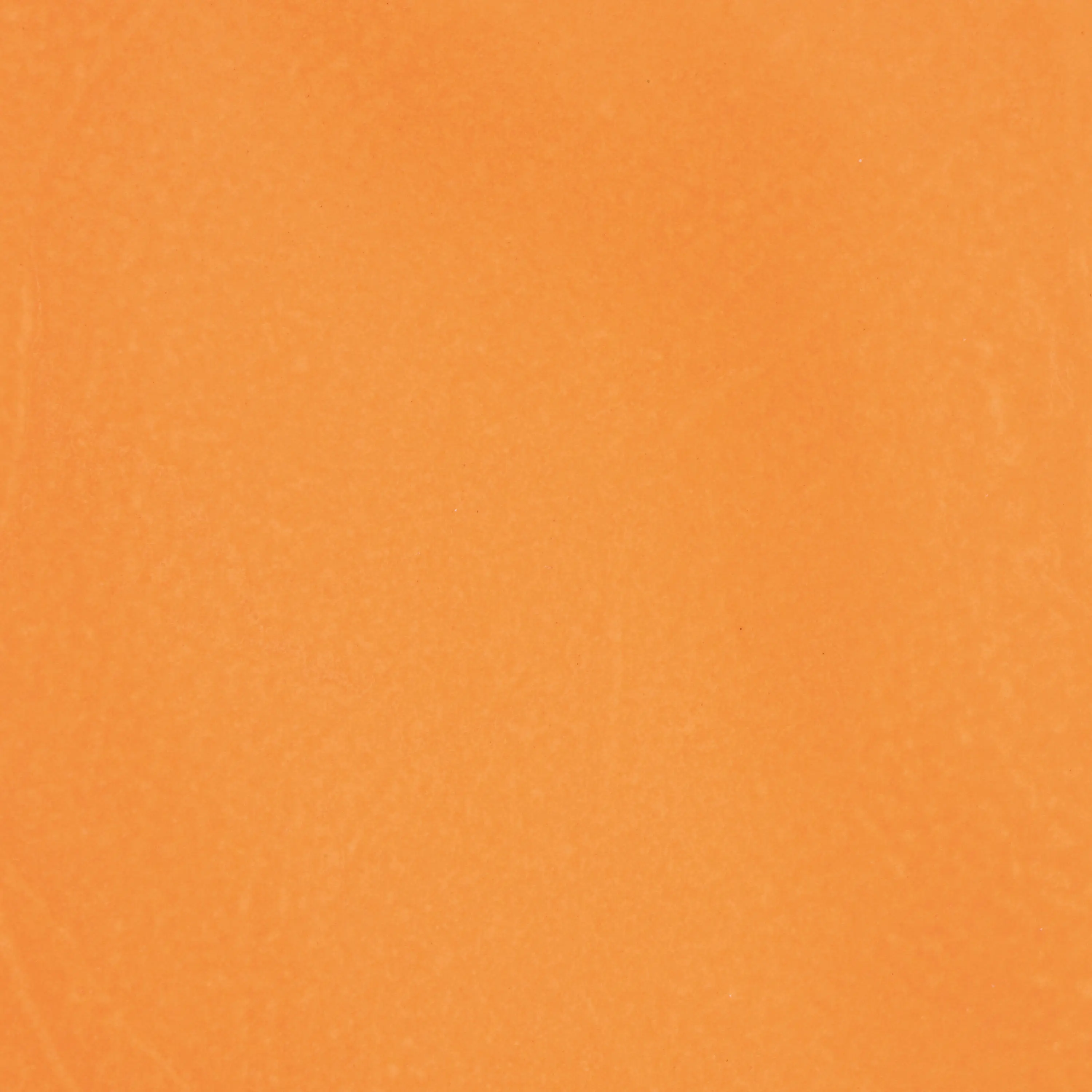 PANDOMO - PANDOMO K1 - 17/7.2