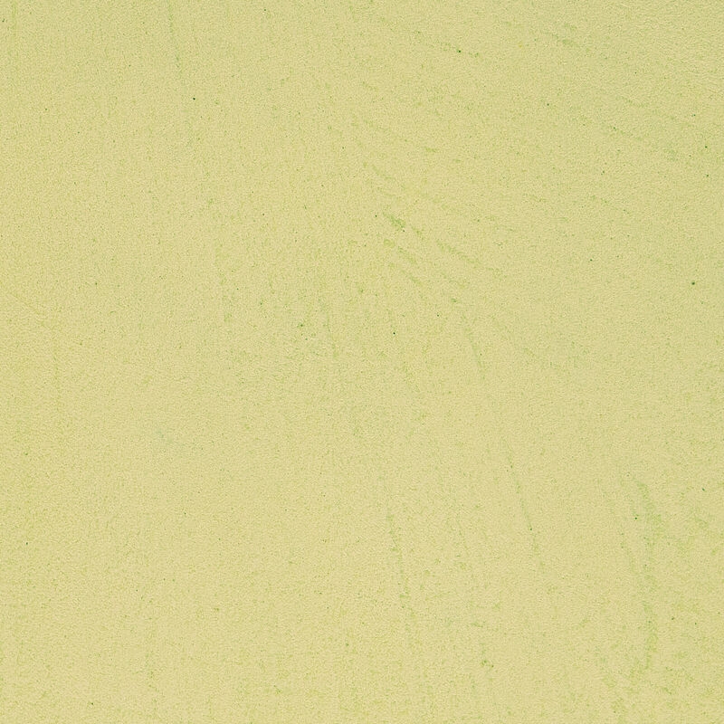 PANDOMO Studio Cool Lime - S01