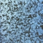 Afficher le produit SS12 decorative glass du fabricant Fusion Glass Designs Ltd.