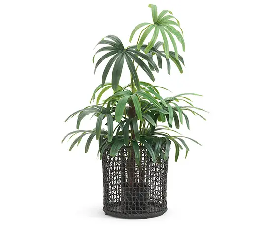 Varaschin - Emma Flowerpot