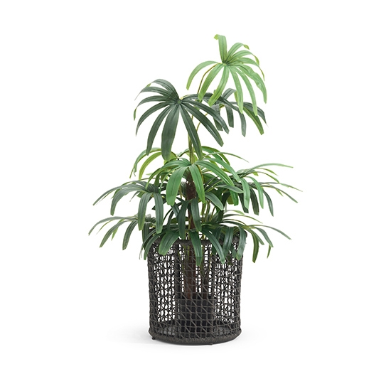 Display product Emma Flowerpot from manufacturer Varaschin