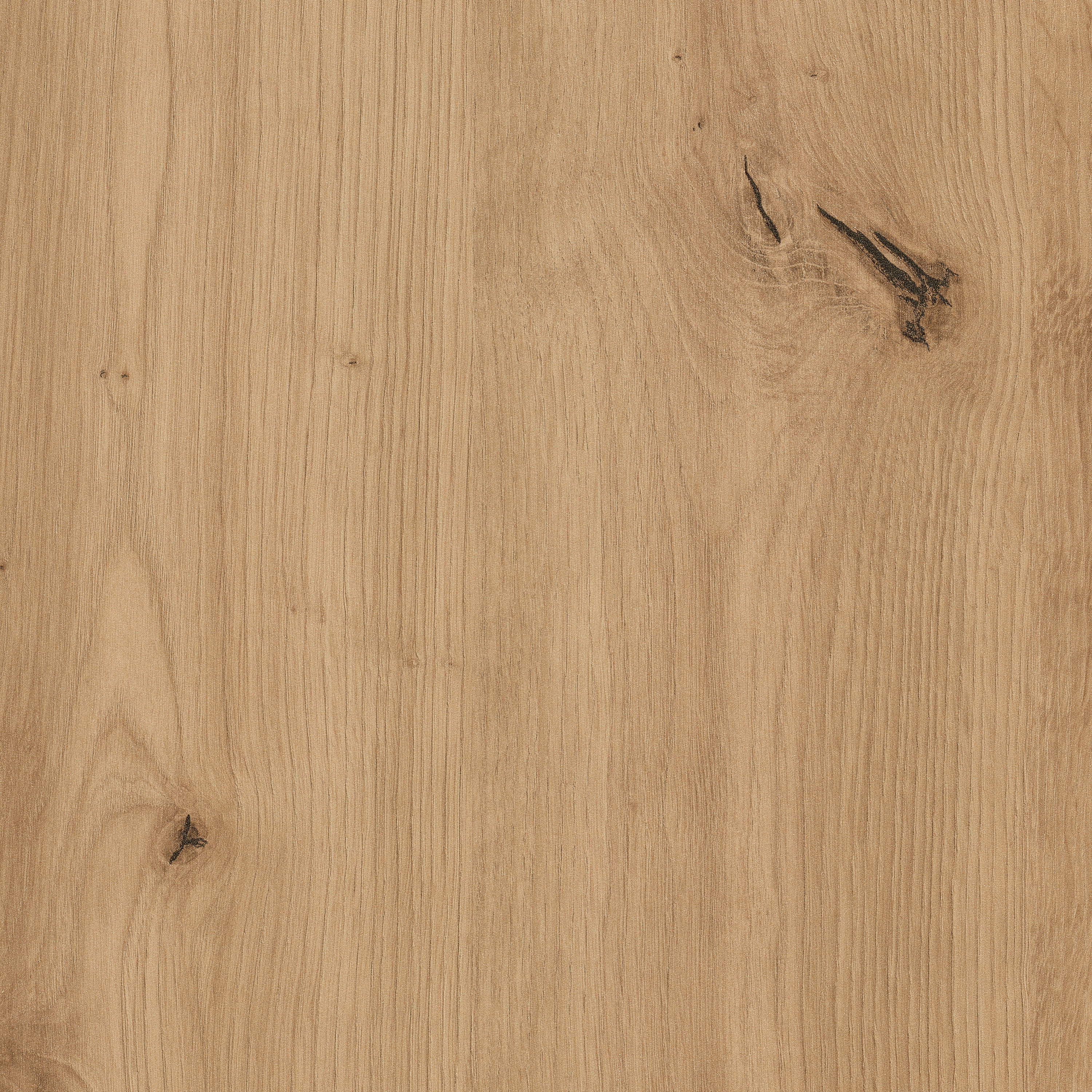 Produkt H1318 Wildeiche natur ST10 des Herstellers EGGER anzeigen