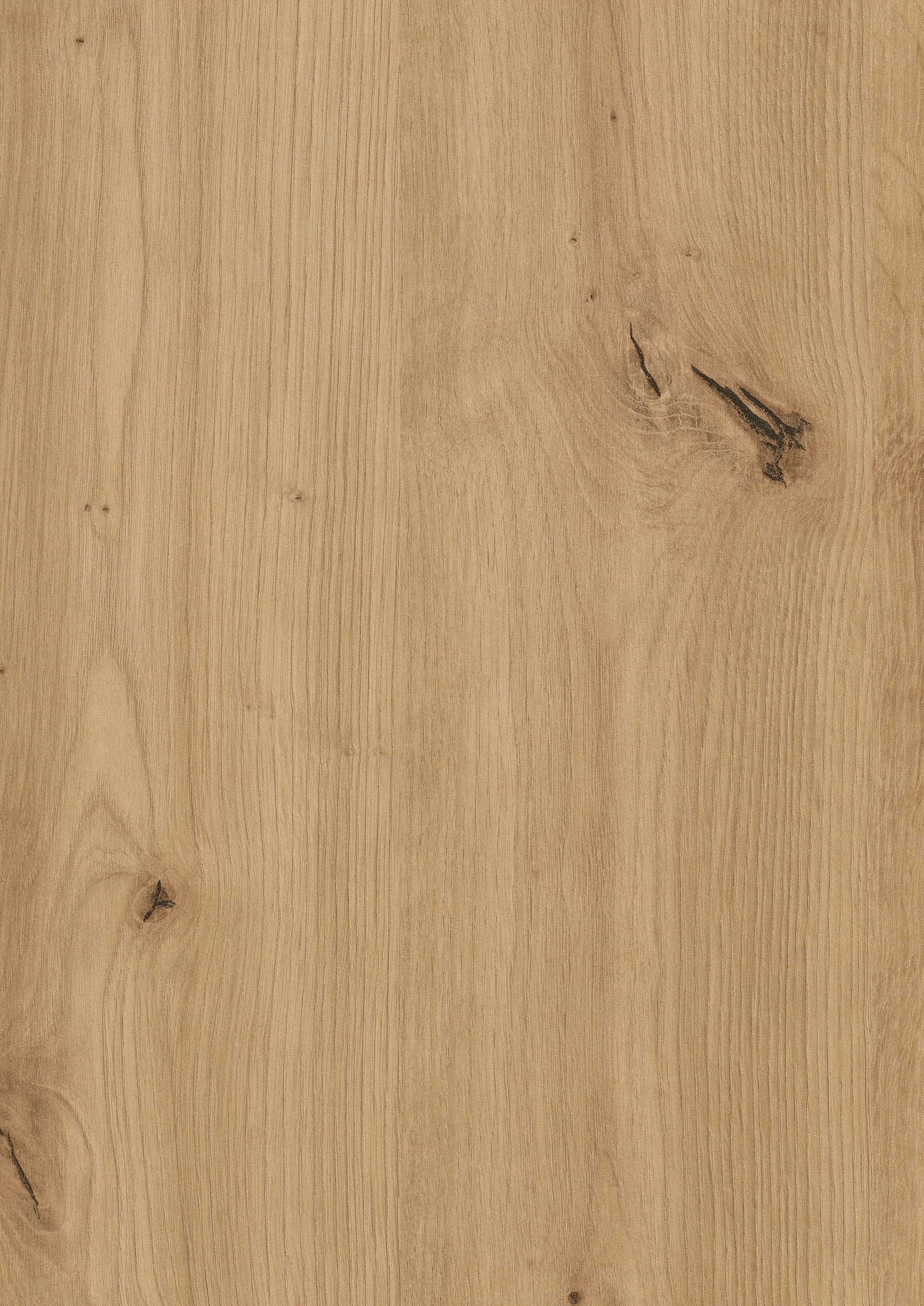 EGGER - H1318 Natural Wild Oak ST10