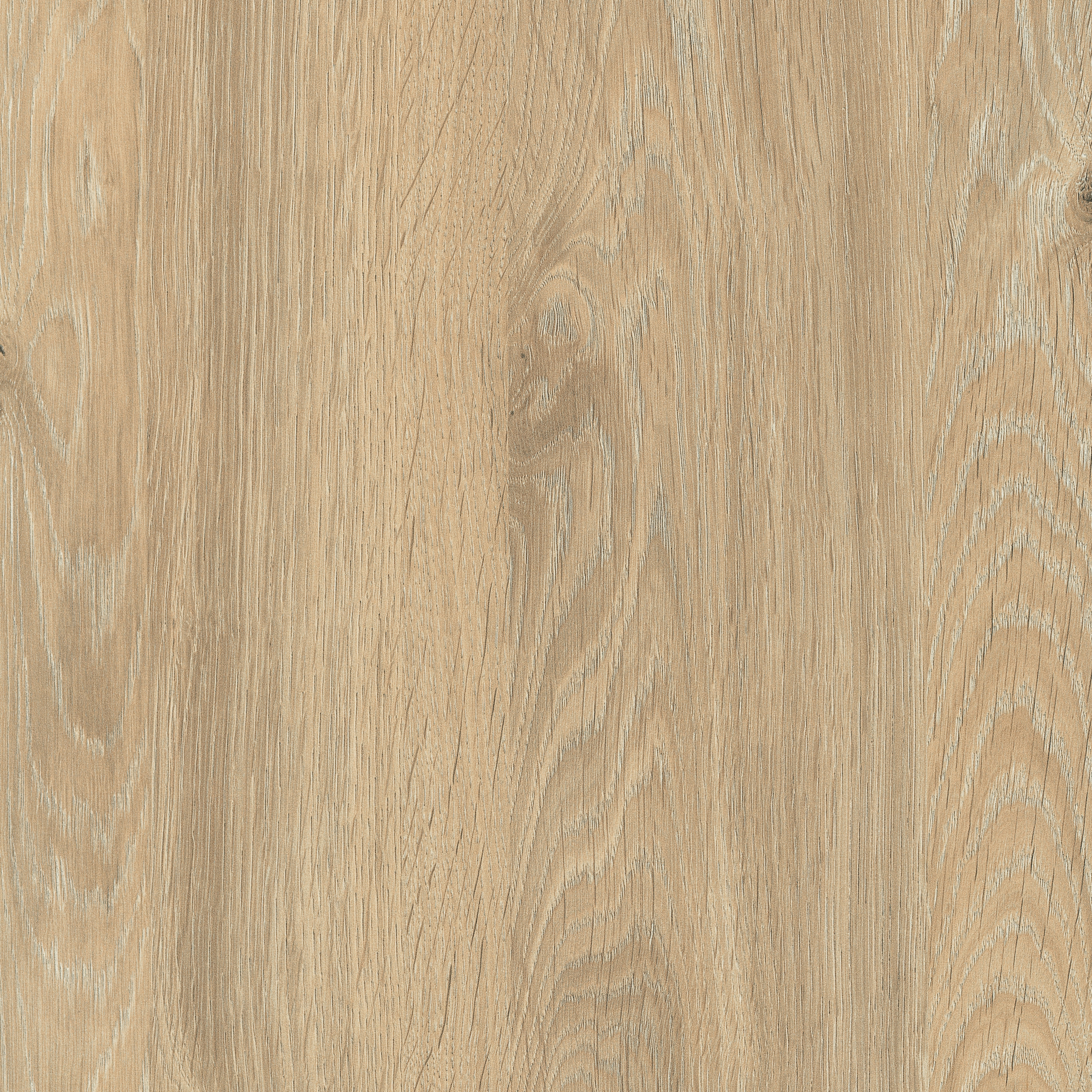 Display product H3131 Natural Davos Oak ST12 from manufacturer EGGER