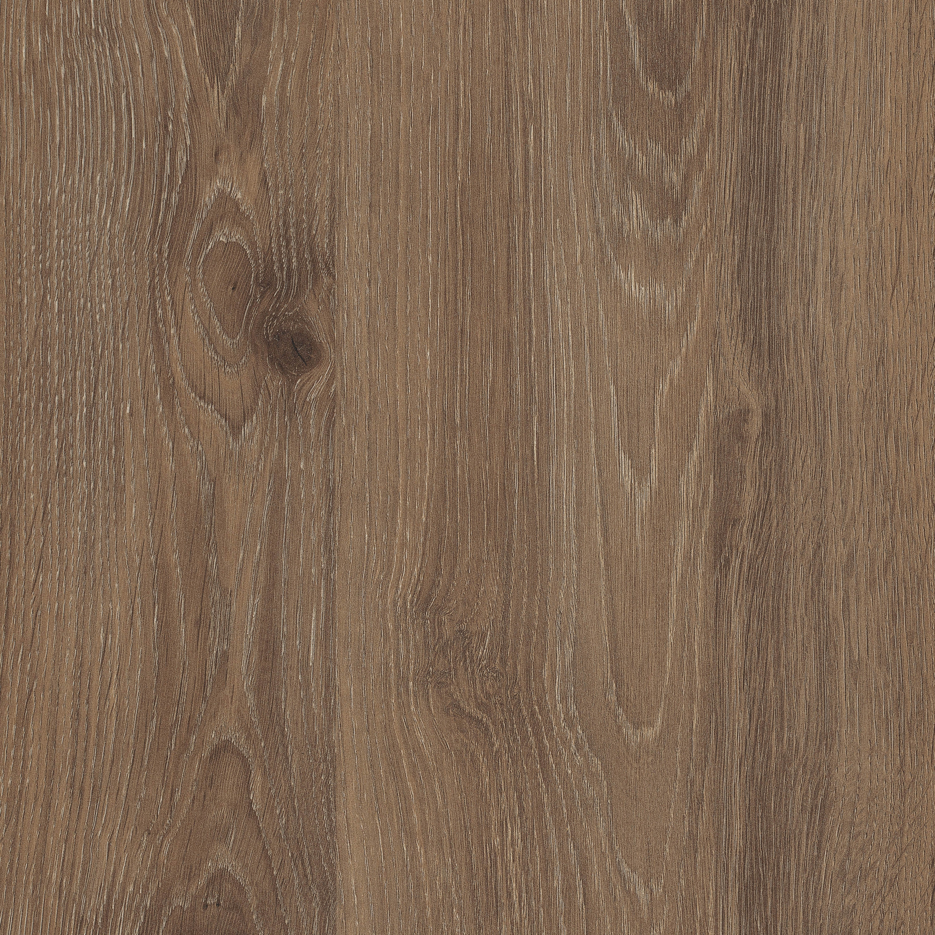 Display product H3133 Truffle Brown Davos Oak ST9 from manufacturer EGGER