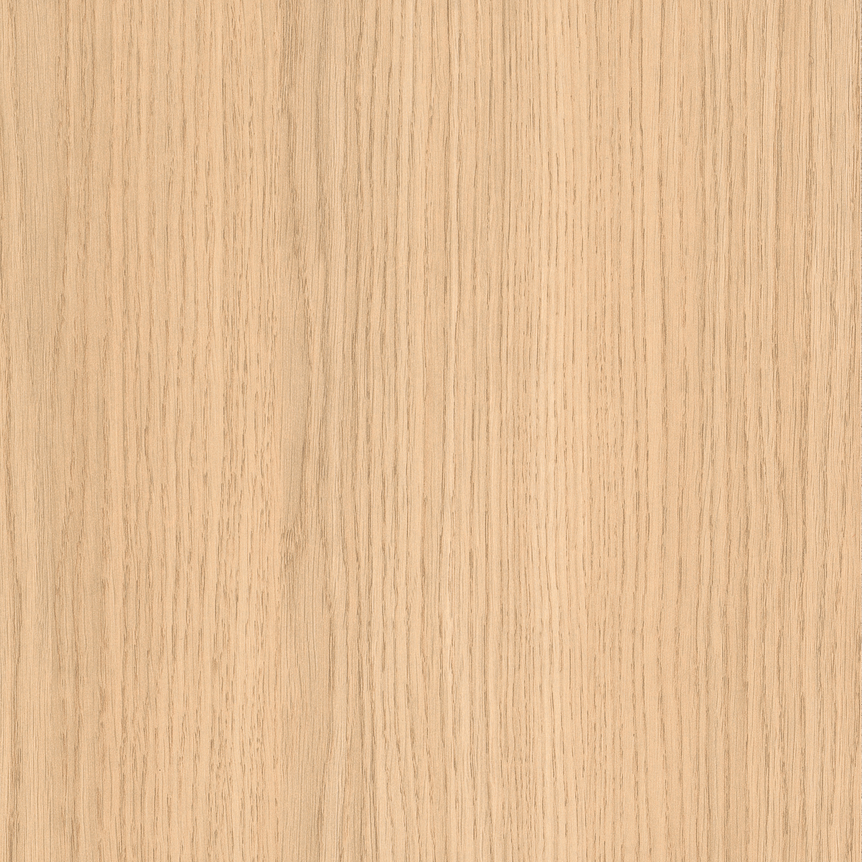 Display product H3152 Bleached Vicenza Oak ST19 from manufacturer EGGER