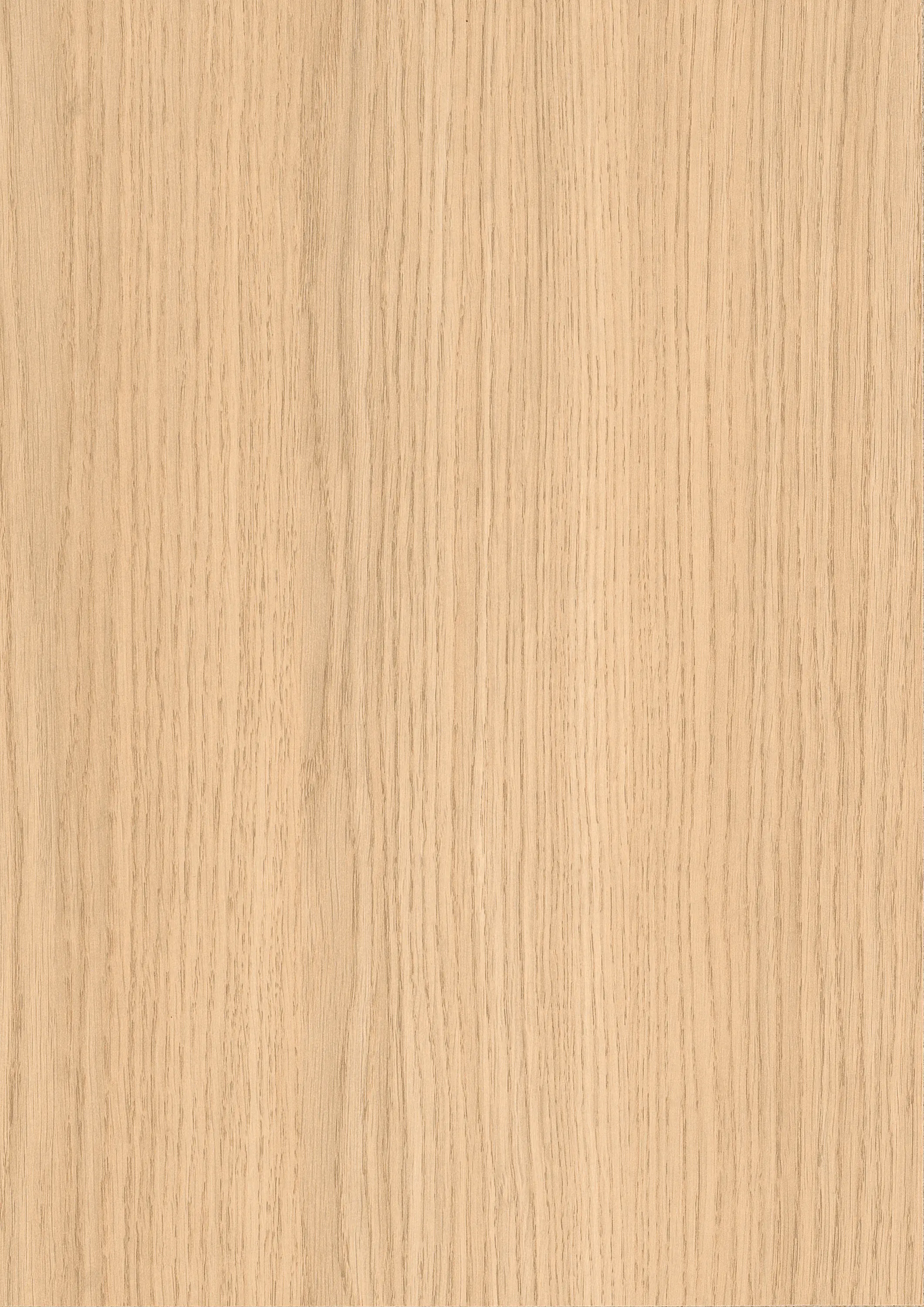 EGGER - H3152 Roble Vicenza blanqueado ST19