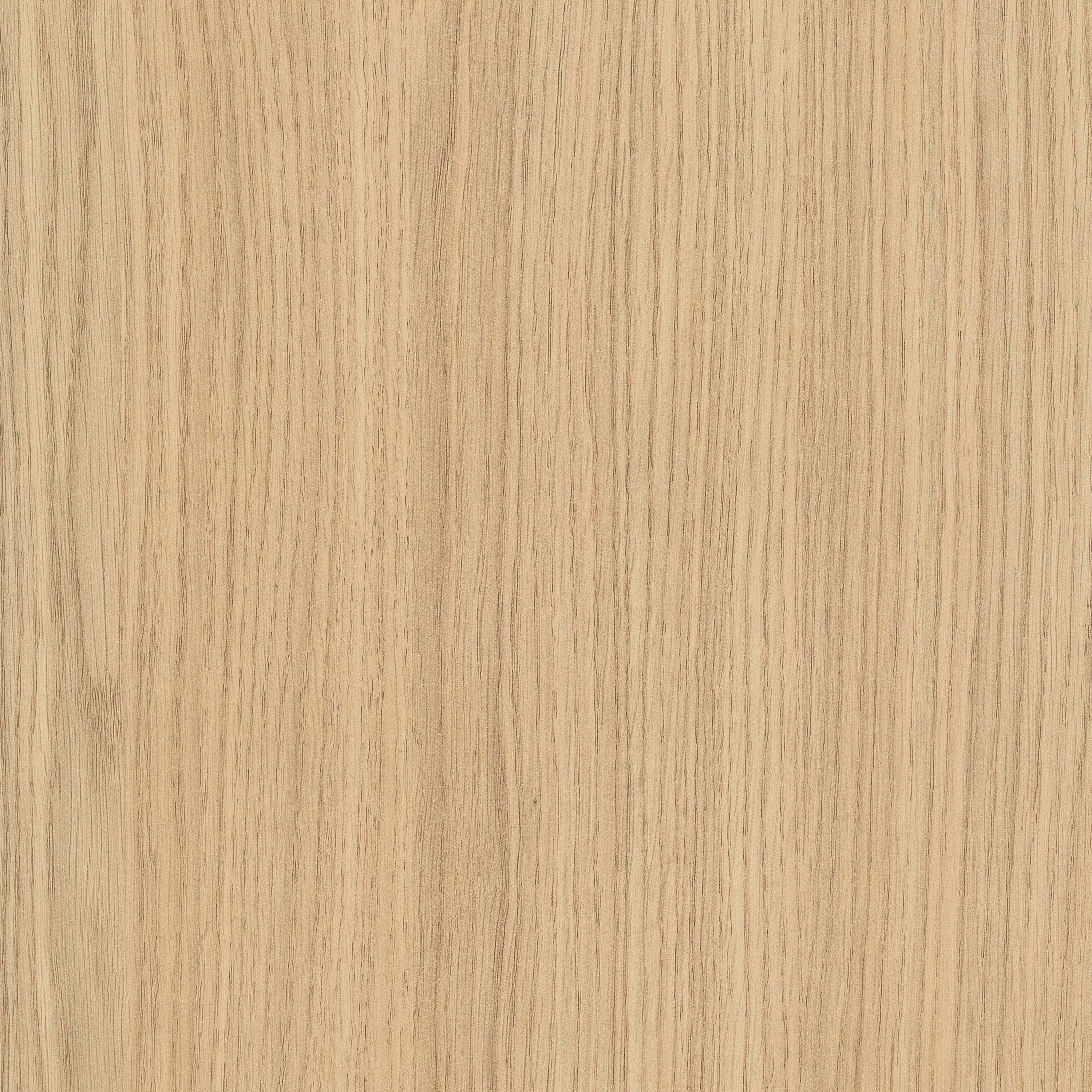 Display product H3157 Vicenza Oak ST12 from manufacturer EGGER