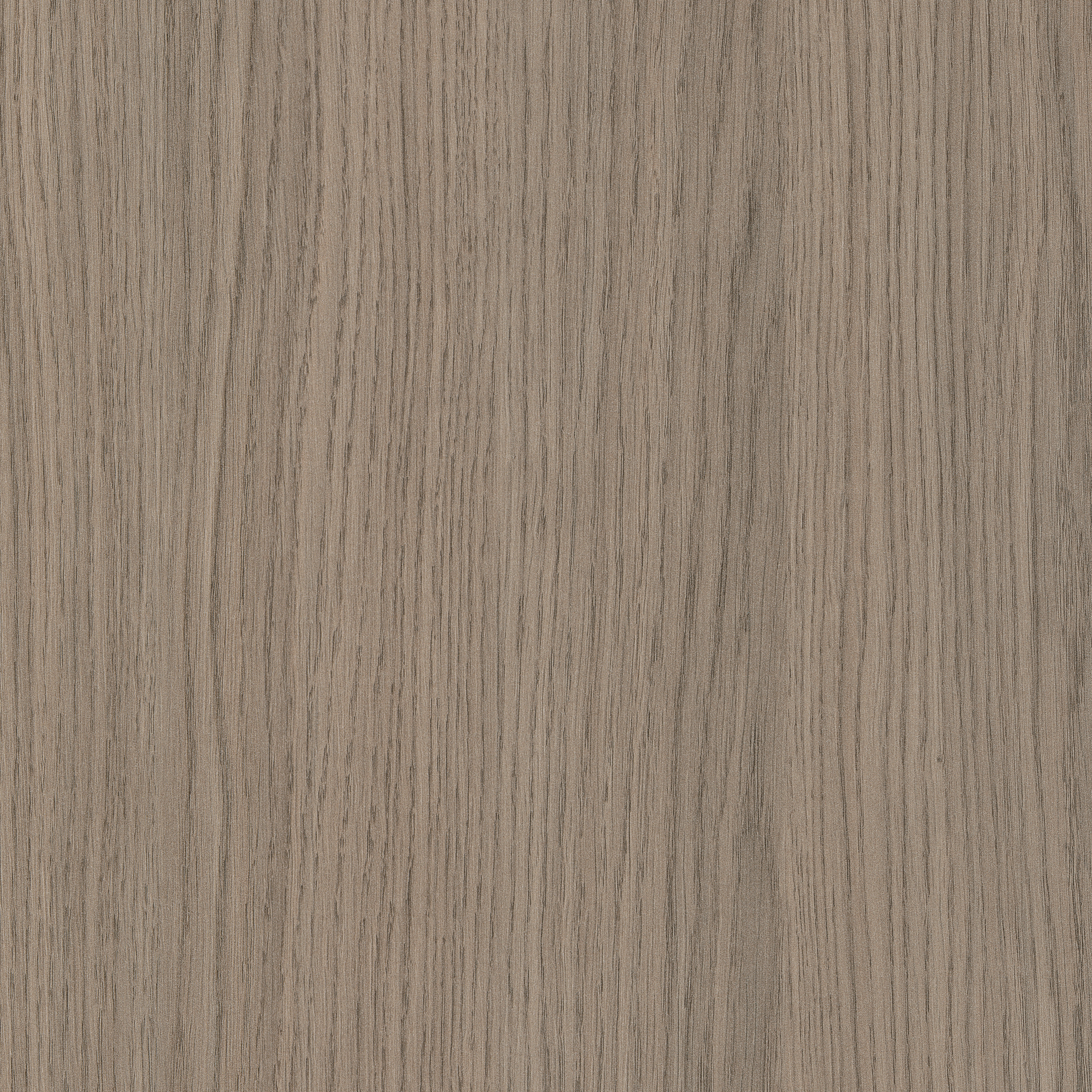 Mostra il prodotto H3158 Rovere Vicenza grigio ST19 del produttore EGGER