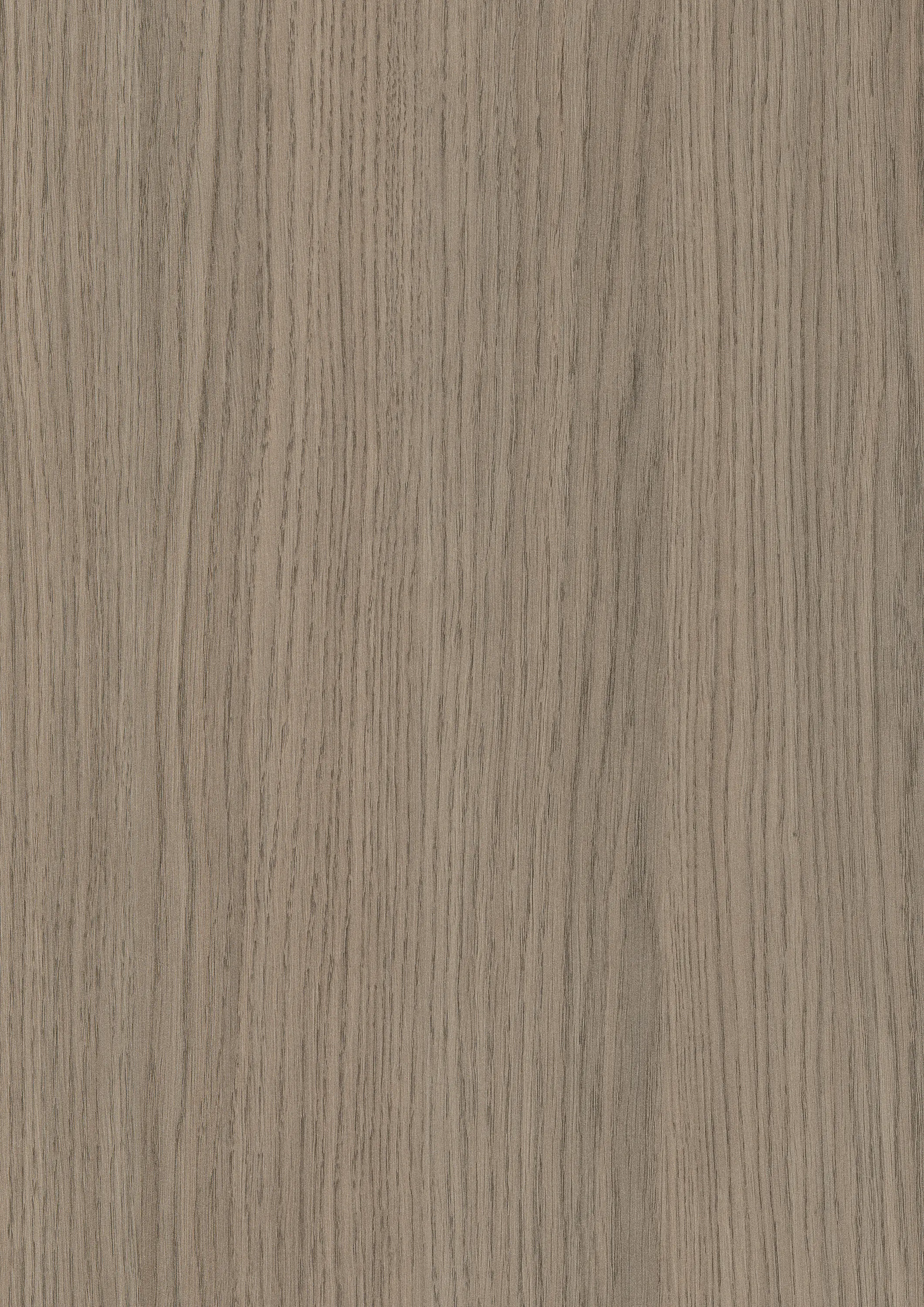 EGGER - H3158 Chêne Vicenza gris ST19
