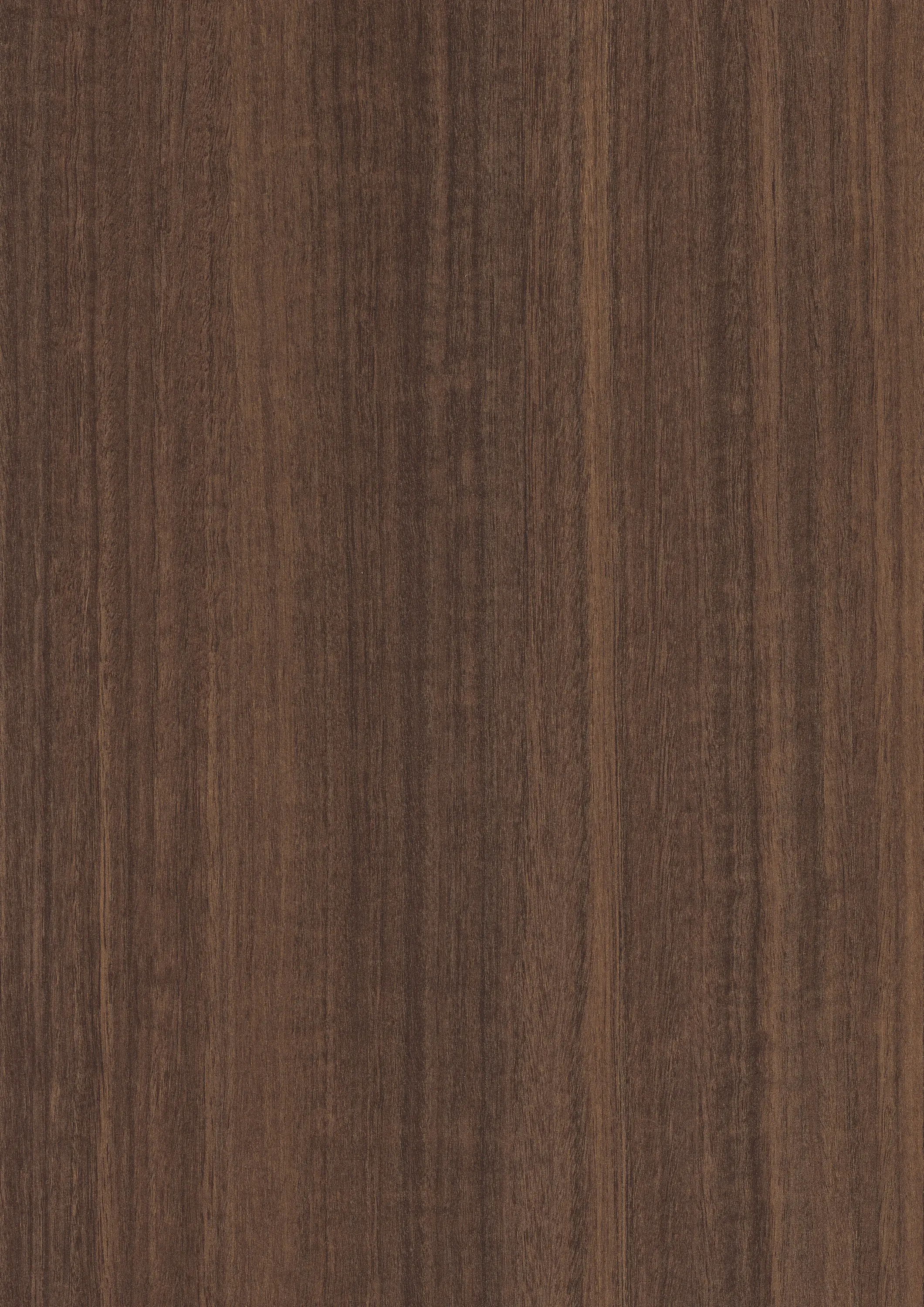 EGGER - H3041 Eucalipto natural TM12