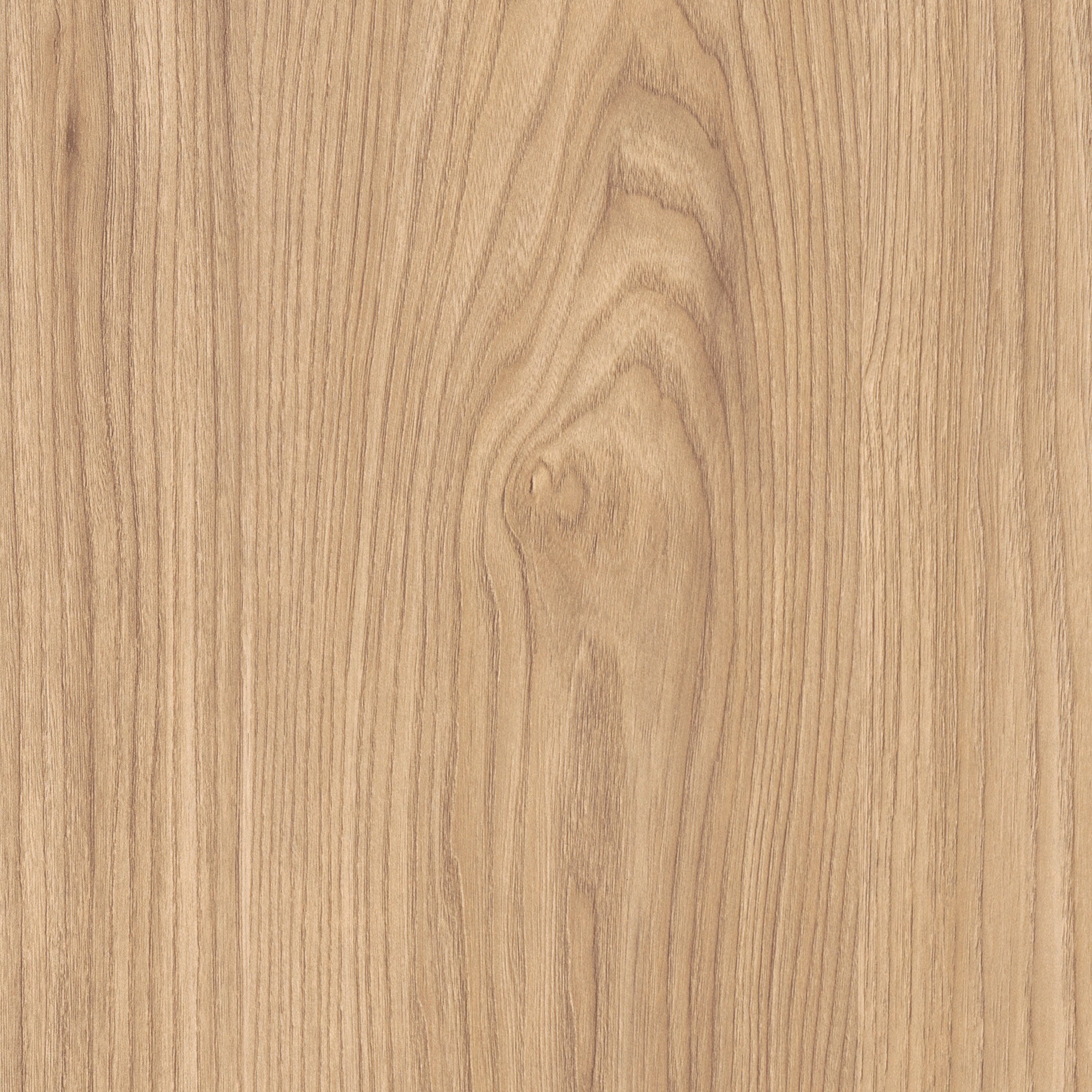 Display product H1242 Natural Sheffield Acacia ST10 from manufacturer EGGER