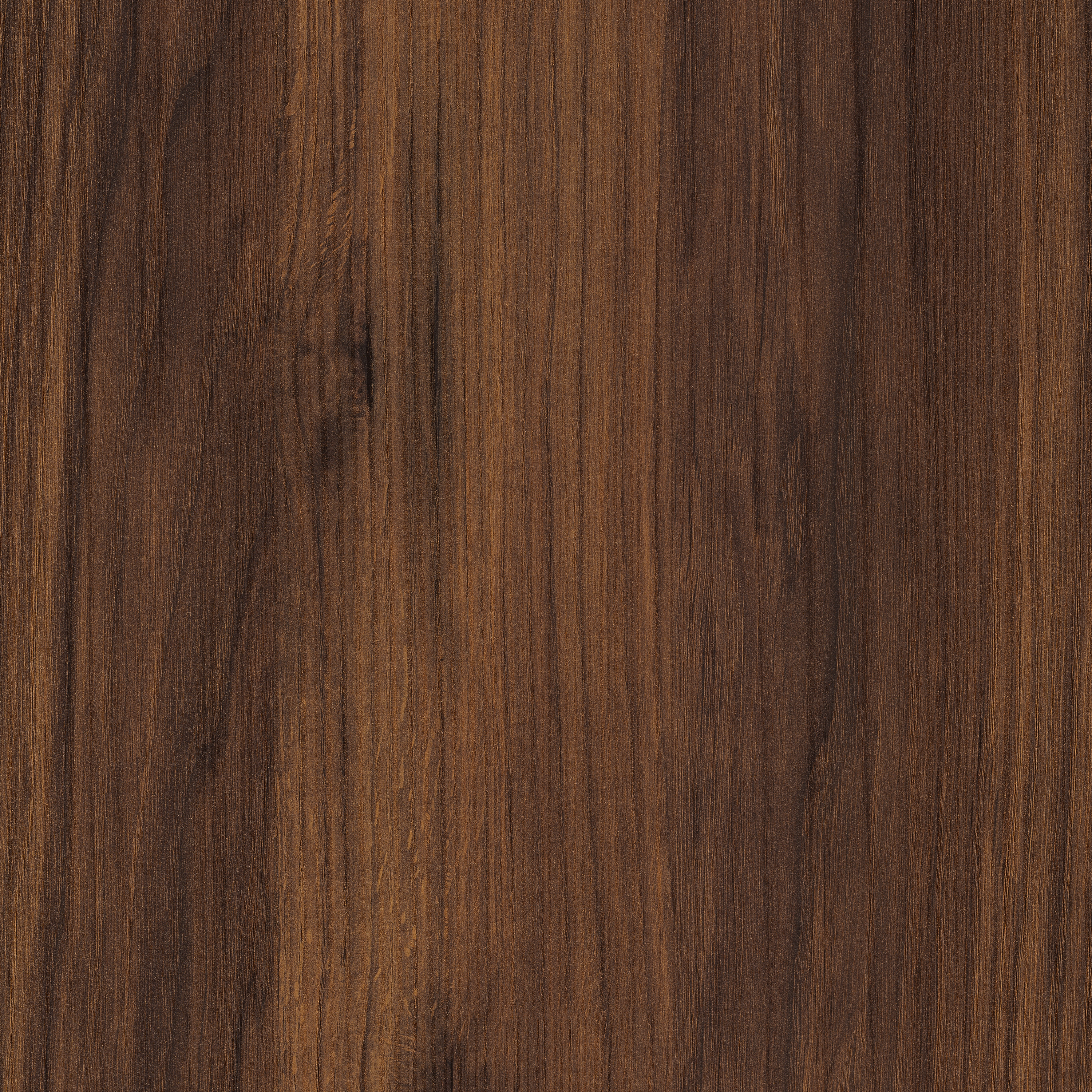 Display product H1307 Brown Warmia Walnut ST19 from manufacturer EGGER