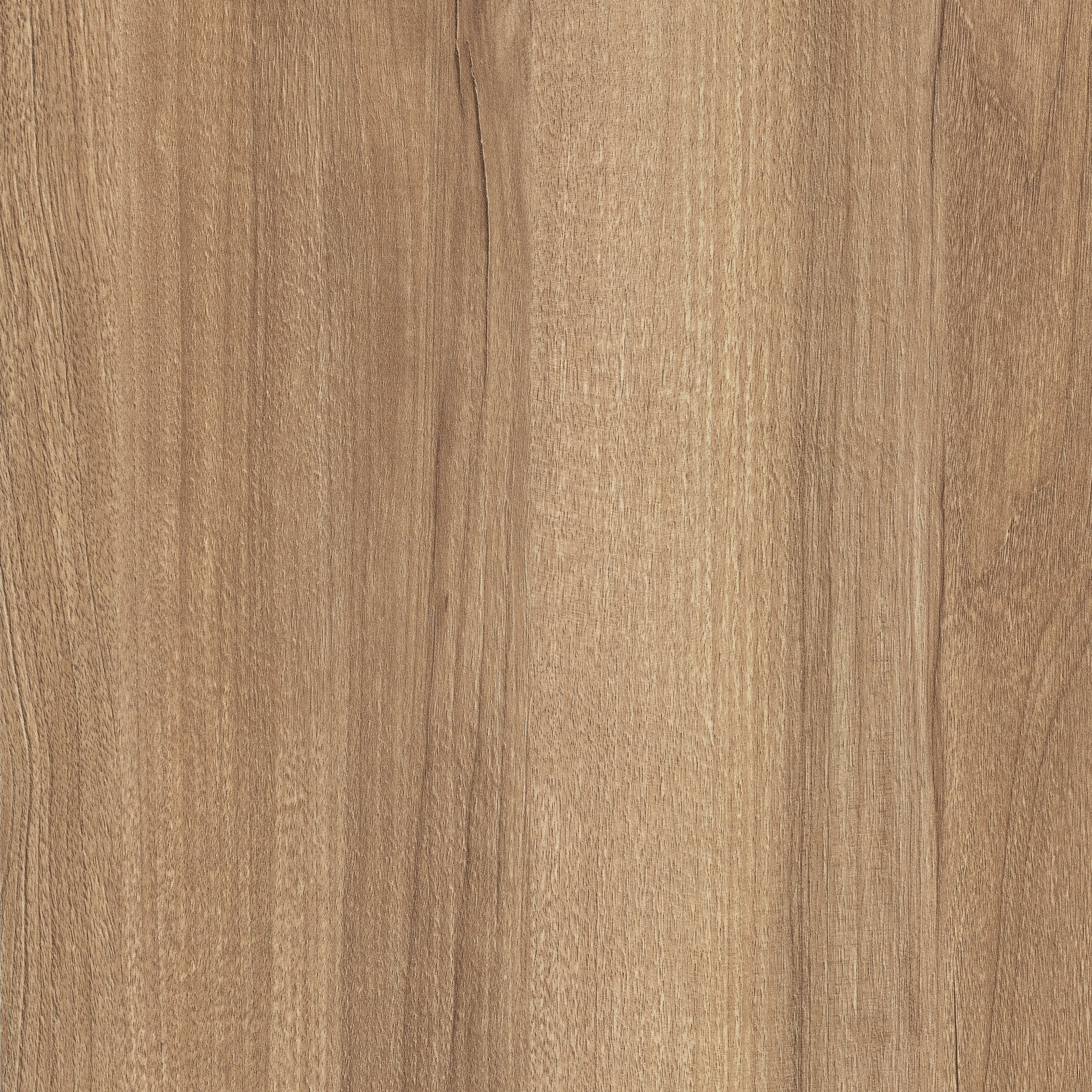Display product H3700 Natural Pacific Walnut ST10 from manufacturer EGGER