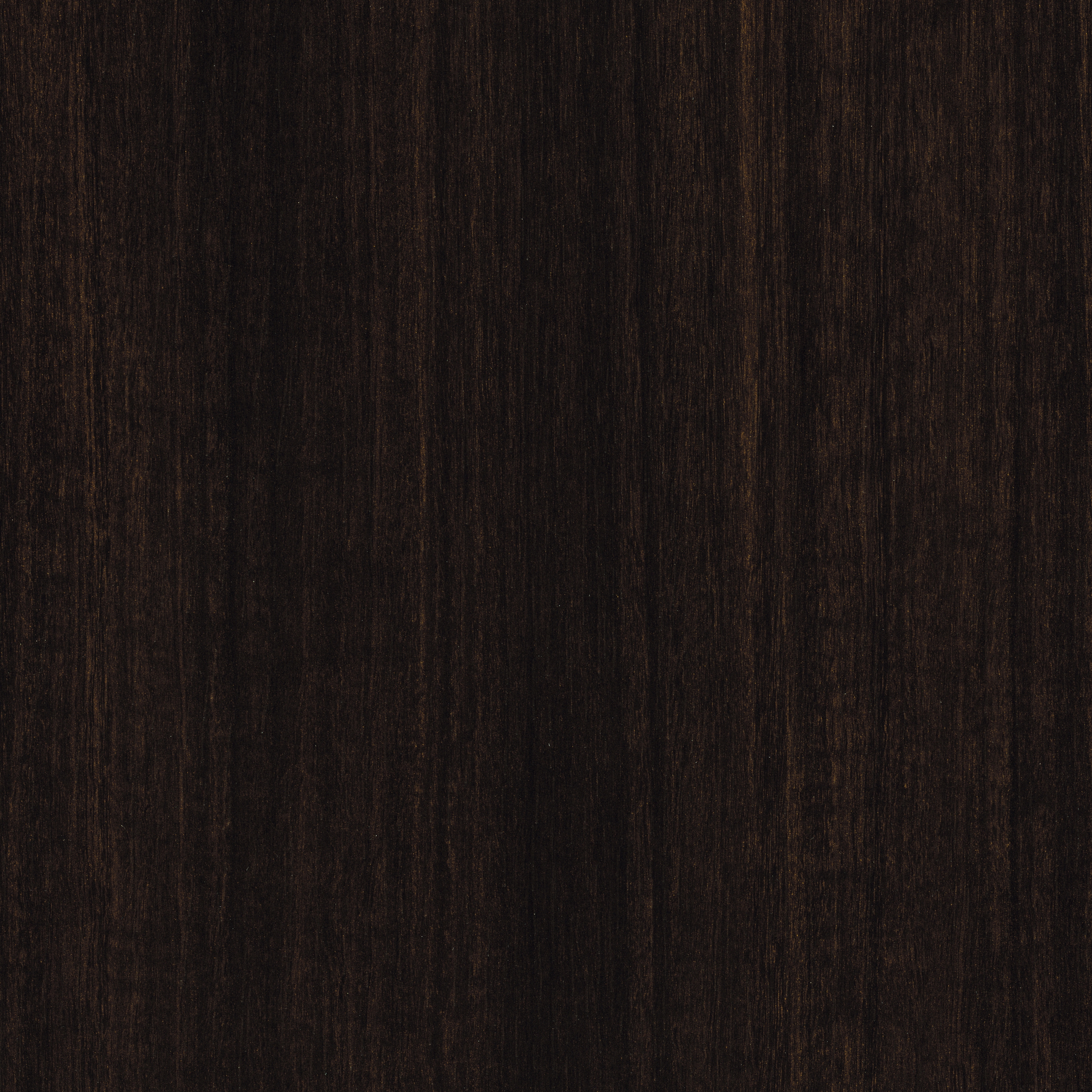 Display product H3043 Dark Brown Eucalyptus ST12 from manufacturer EGGER