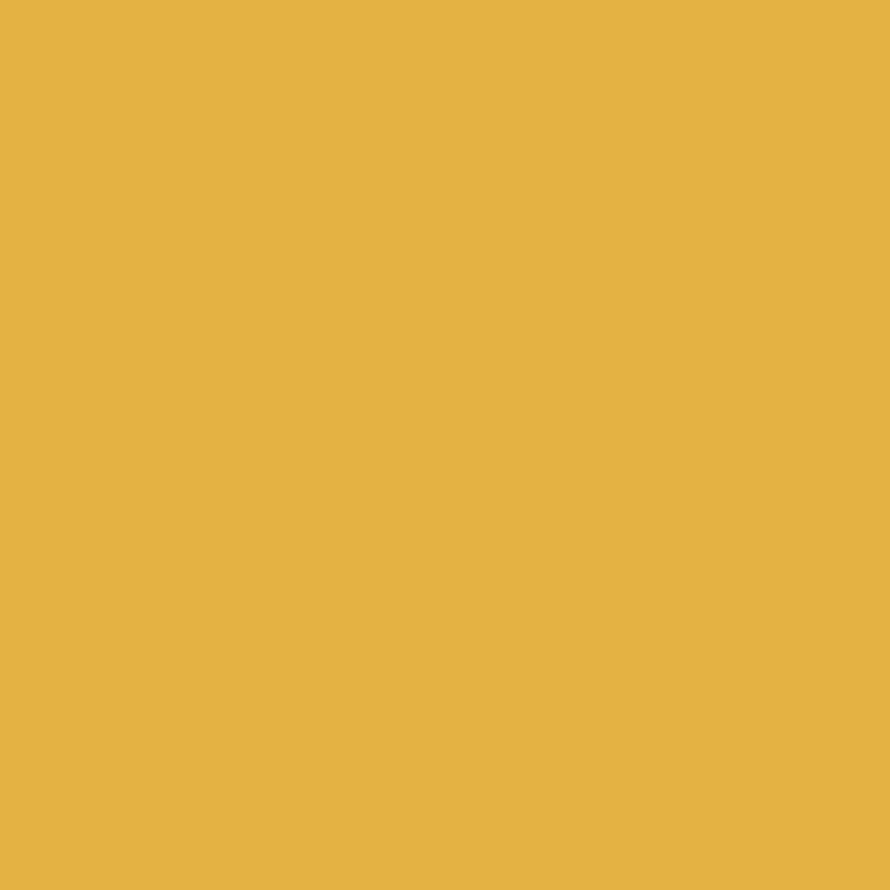 Display product U163 Curry Yellow ST9 from manufacturer EGGER