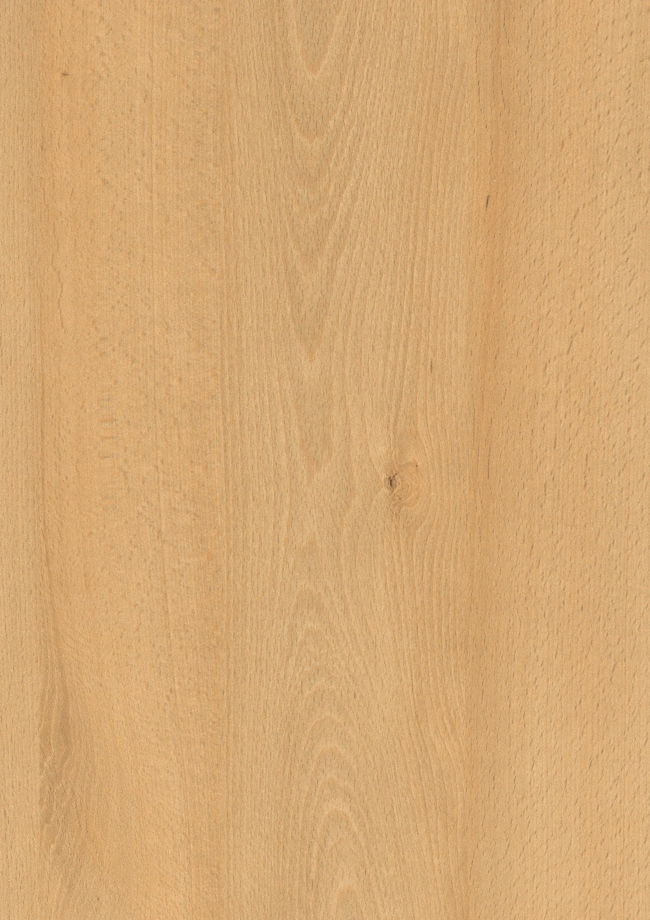 EGGER - H1910 Faggio Foresta Nera ST9