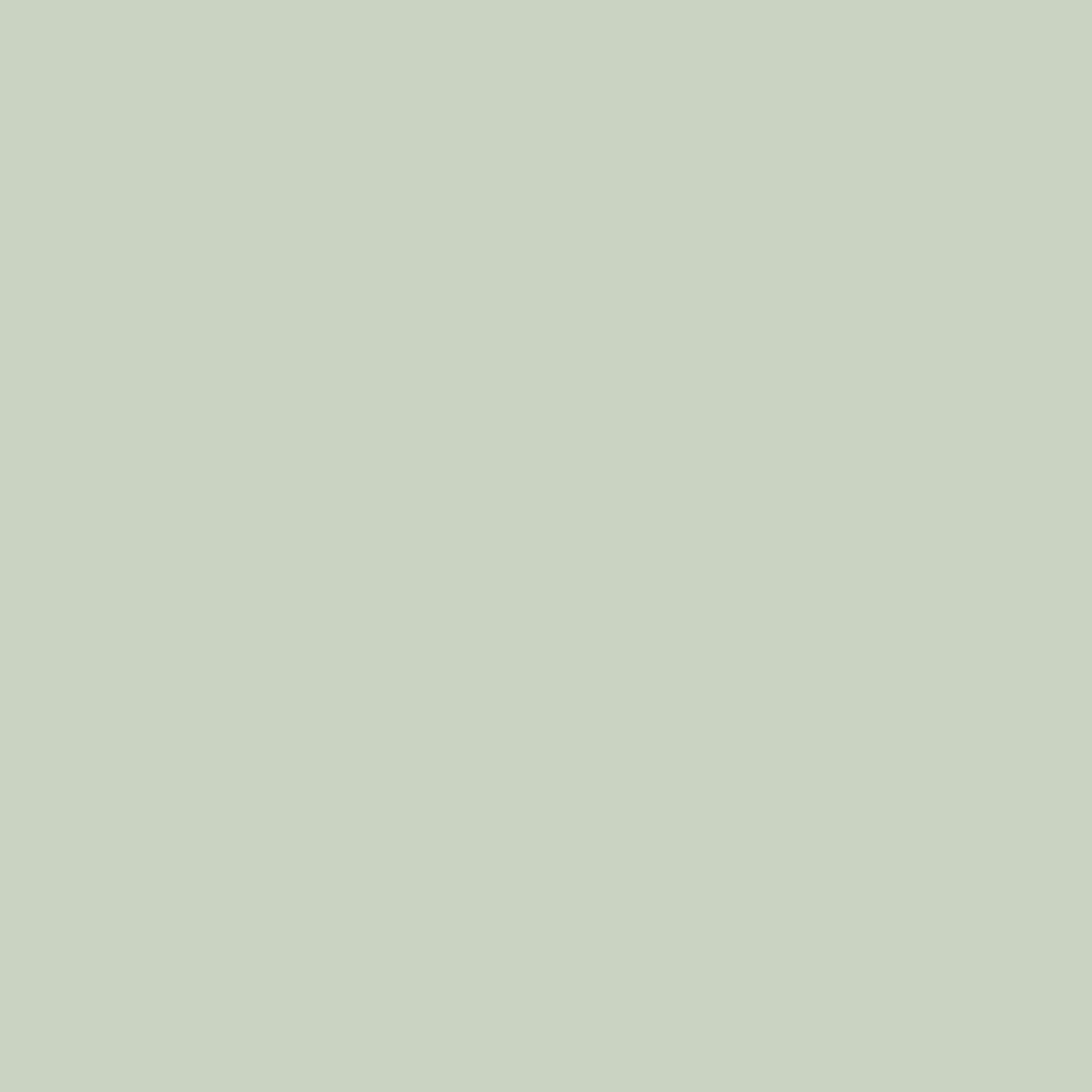 Display product U608 Pistachio Green ST9 from manufacturer EGGER