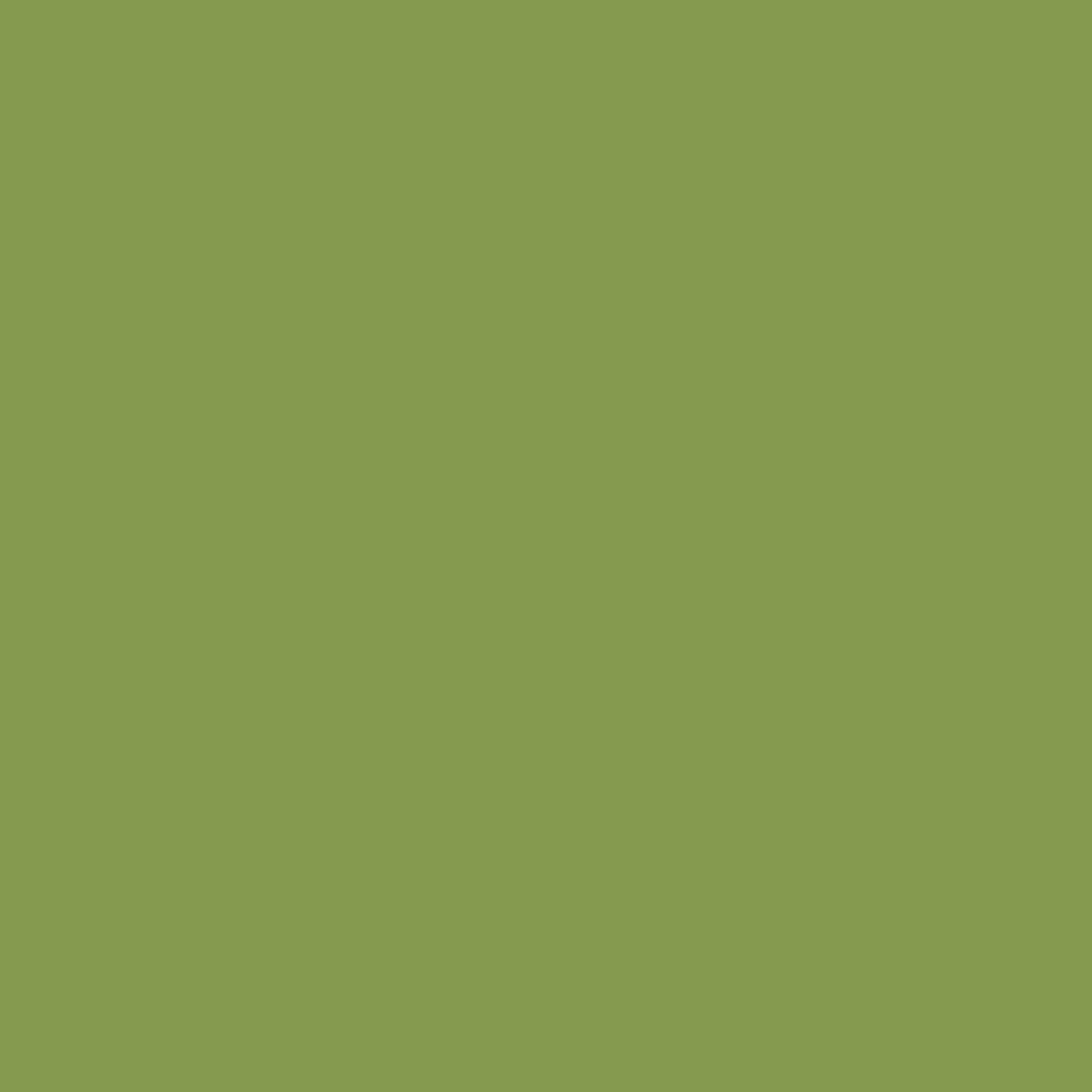 Display product U626 Kiwi Green ST9 from manufacturer EGGER