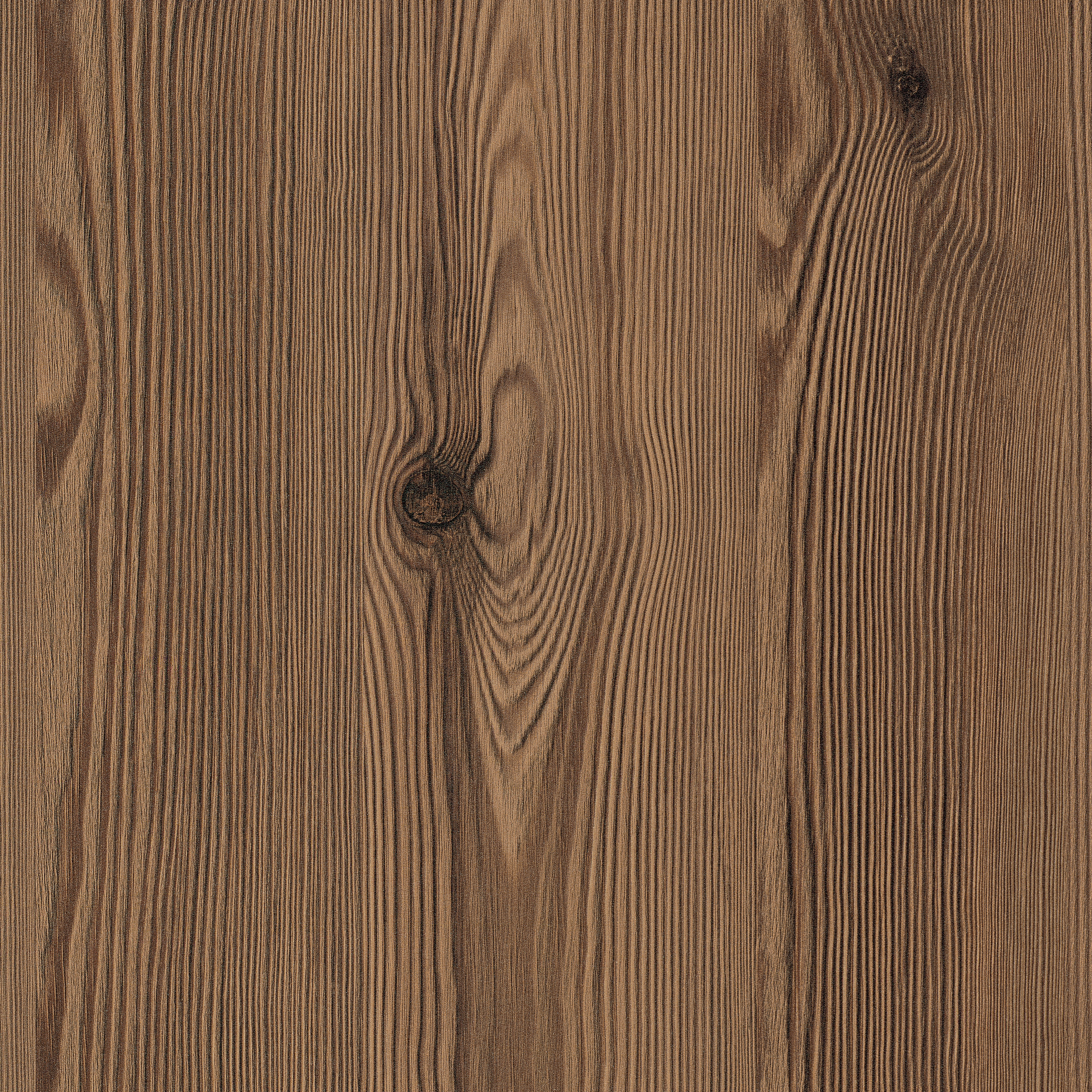 Display product H3408 Thermo Brown Mountain Larch ST38 from manufacturer EGGER