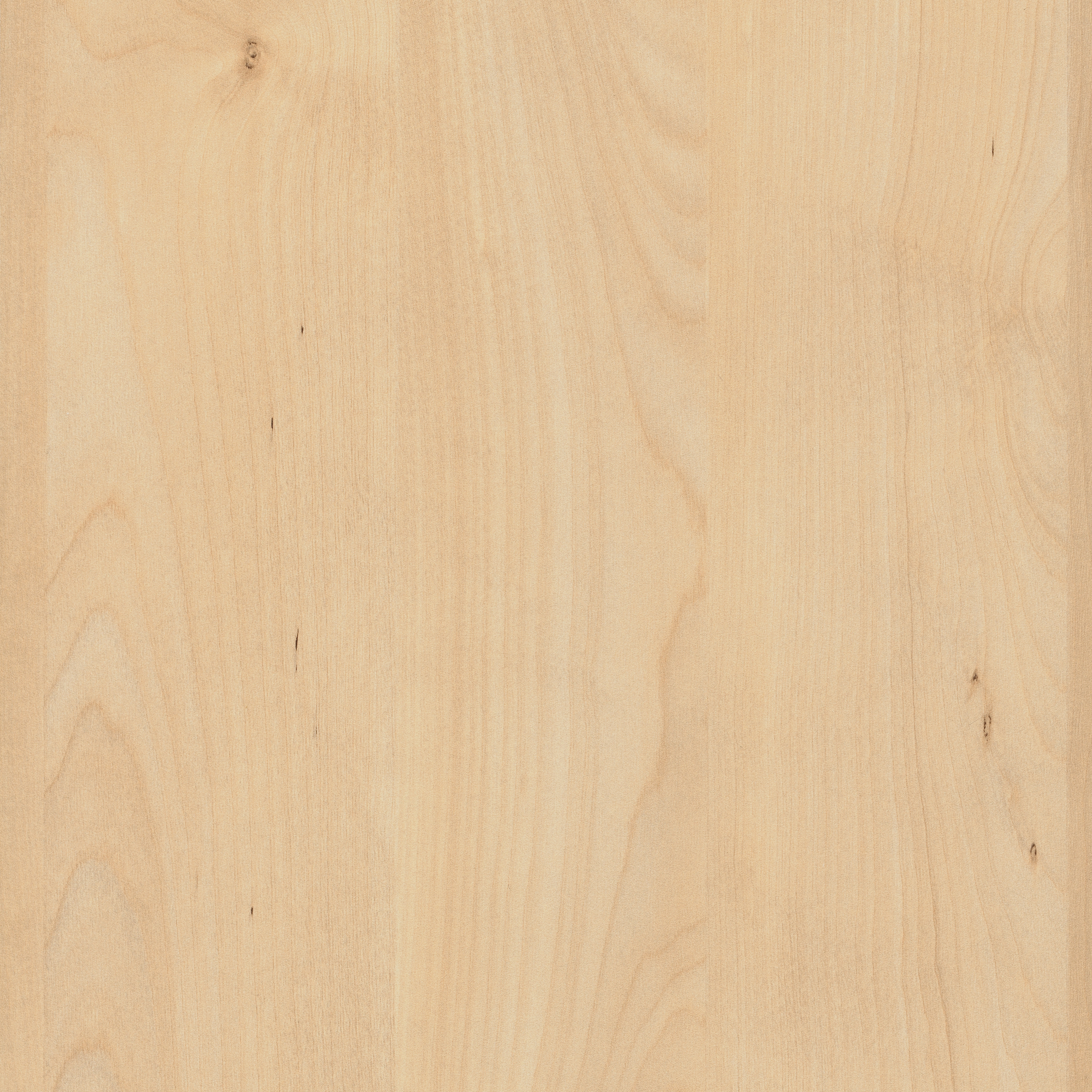 Display product H3840 Natural Mandal Maple ST9 from manufacturer EGGER