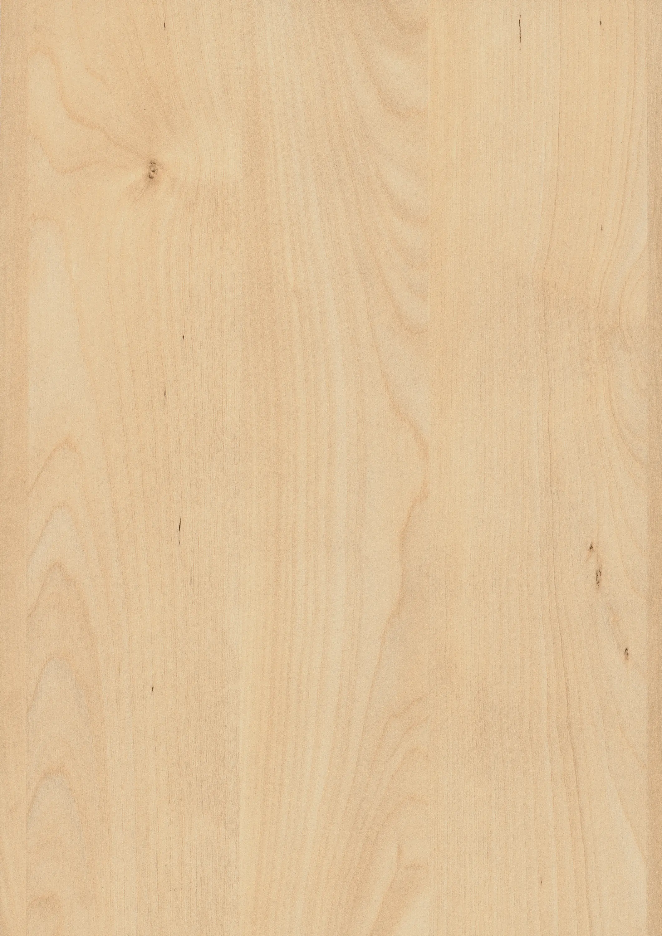 EGGER - H3840 Mandal Ahorn natur ST9