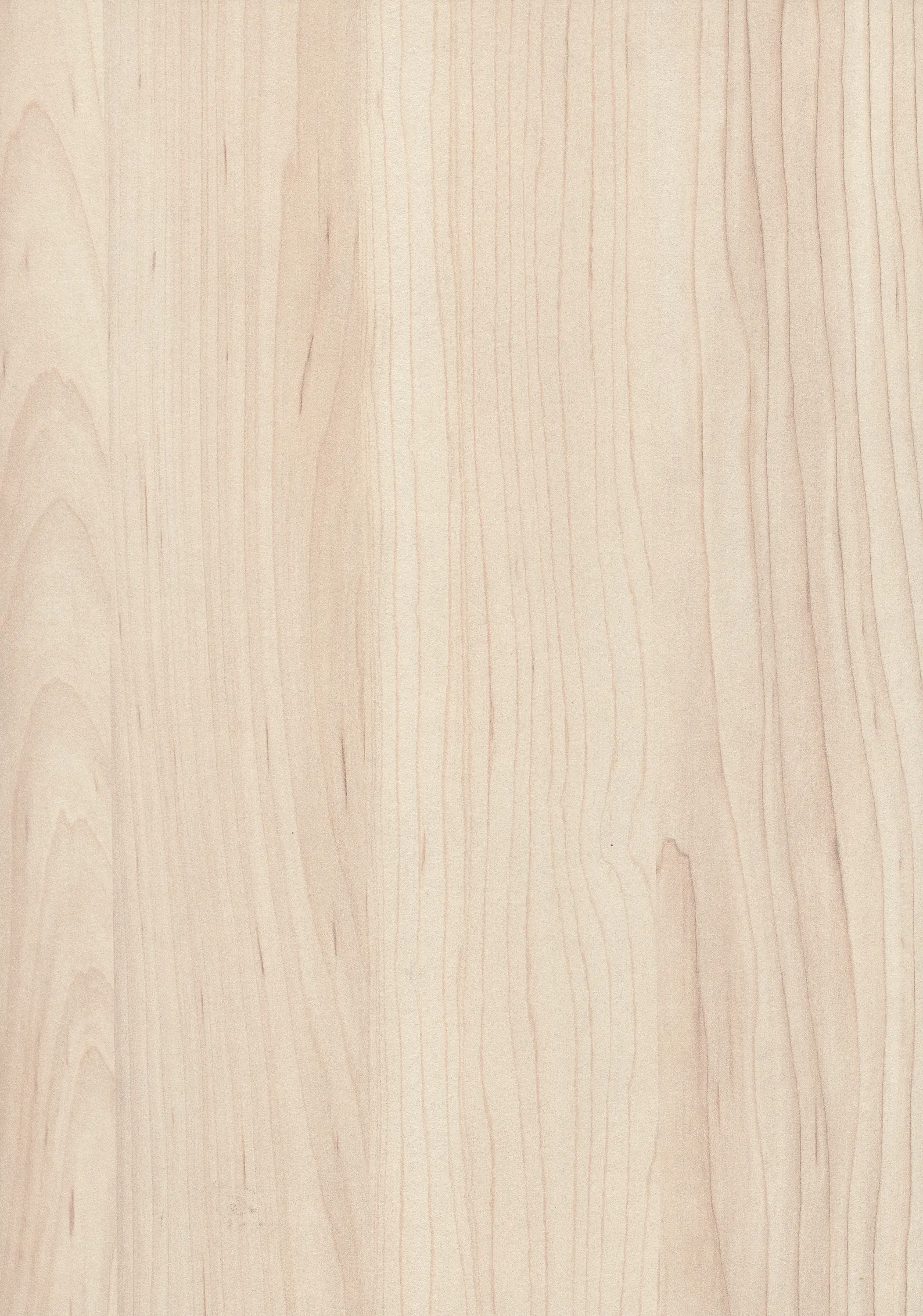 EGGER - H3860 Champagne Hard Maple ST9