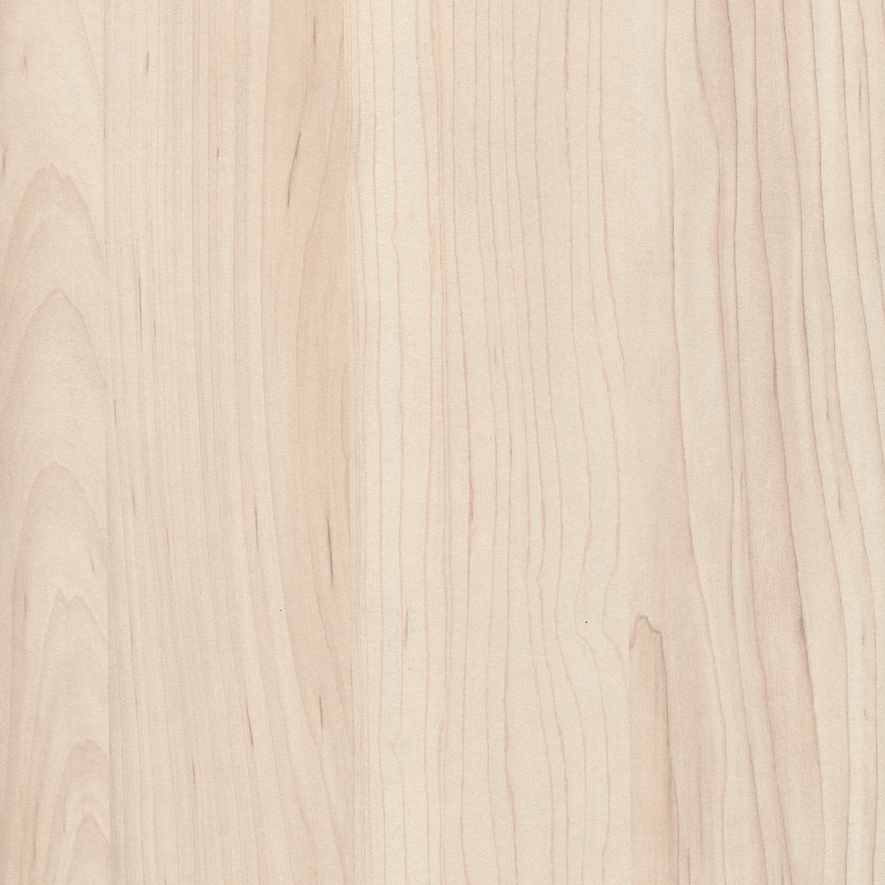 Display product H3860 Champagne Hard Maple ST9 from manufacturer EGGER