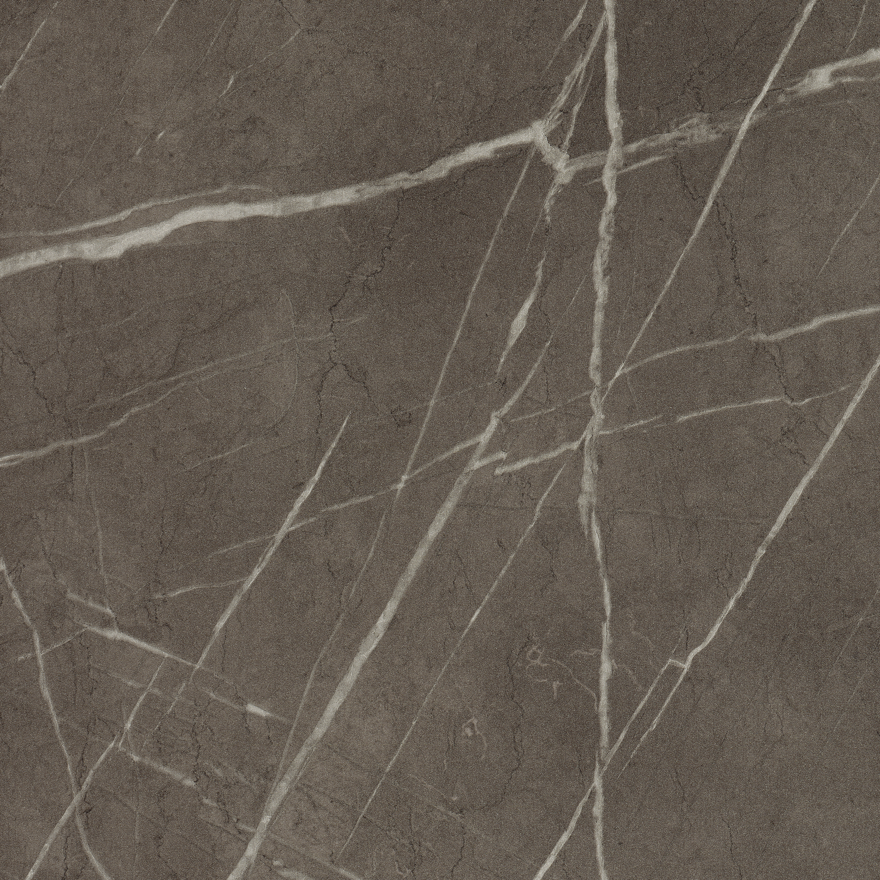 Display product F205 Anthracite Pietra Grigia ST9 from manufacturer EGGER