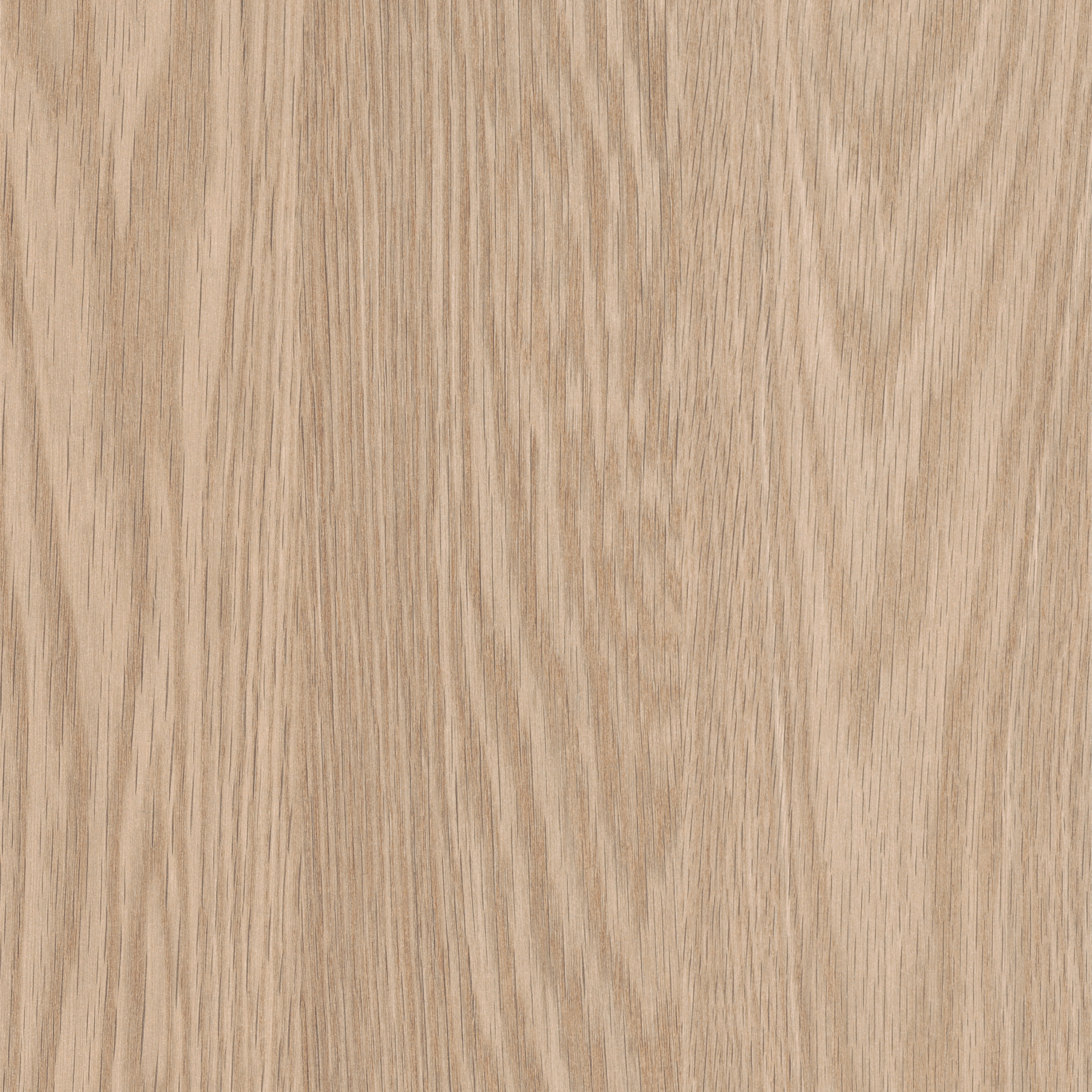 Display product H1362 Light Baronia Oak ST12 from manufacturer EGGER