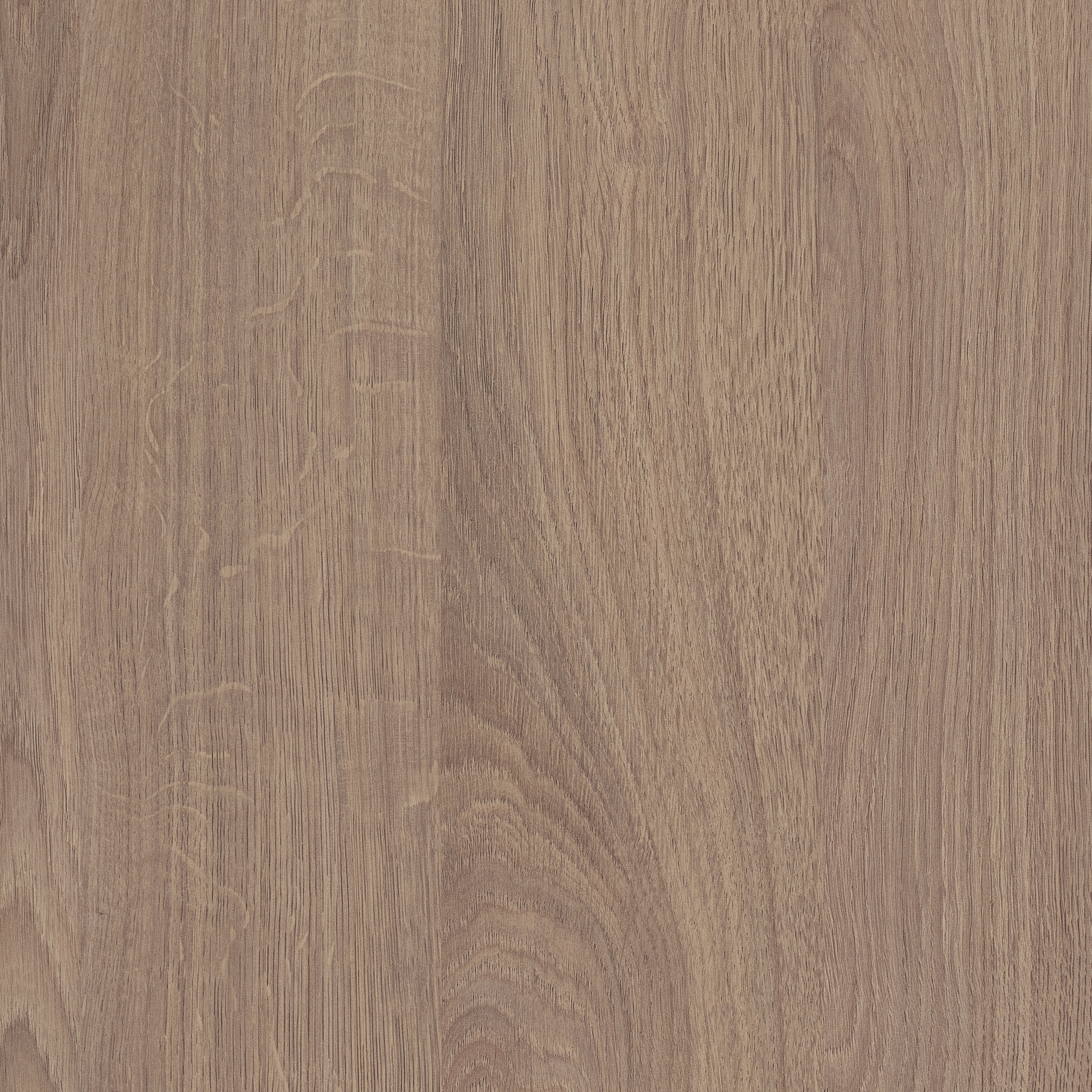 Produkt H3156 Corbridge Eiche grau ST9 des Herstellers EGGER anzeigen