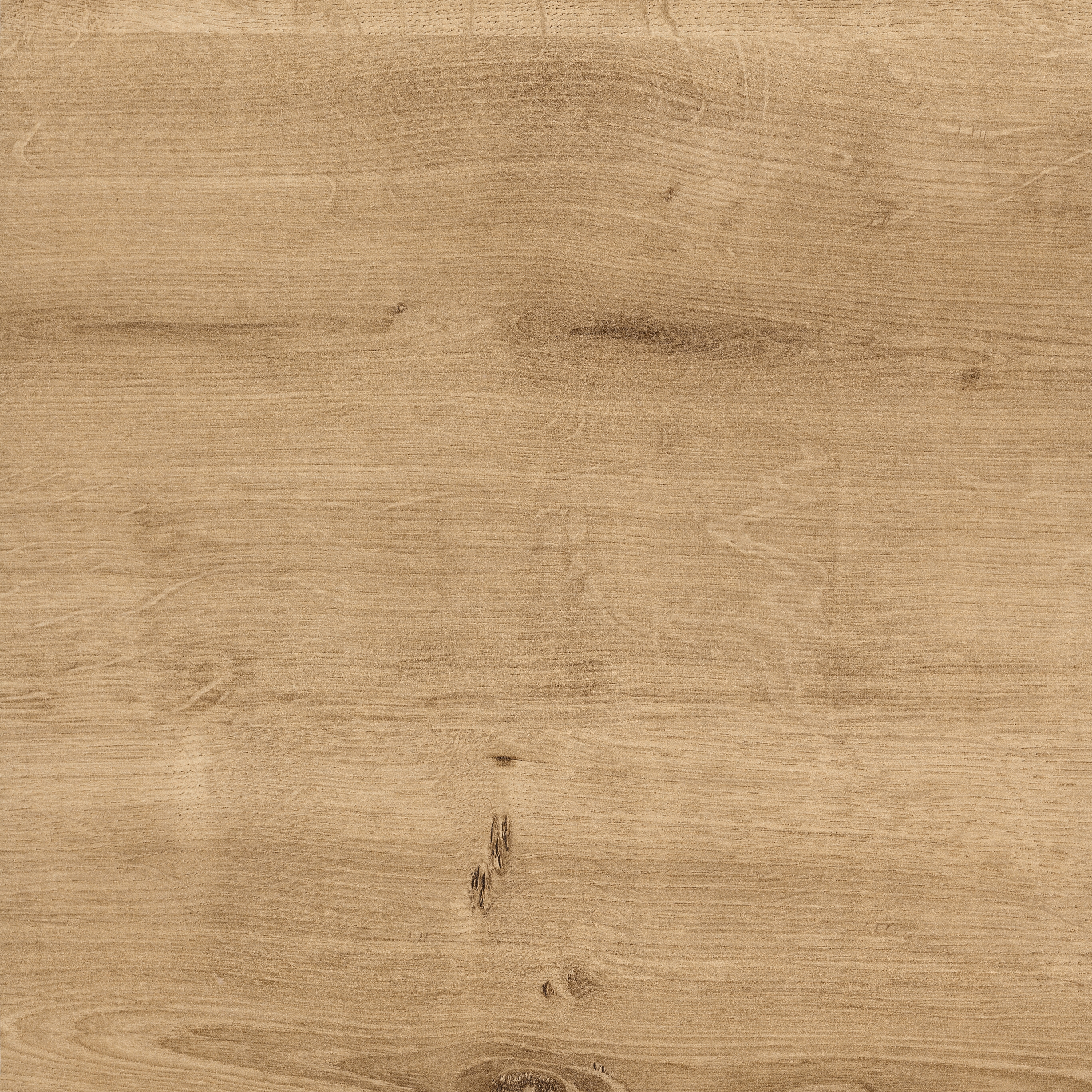 Display product H1133 Natural Hamilton Oak Horizontal ST10 from manufacturer EGGER