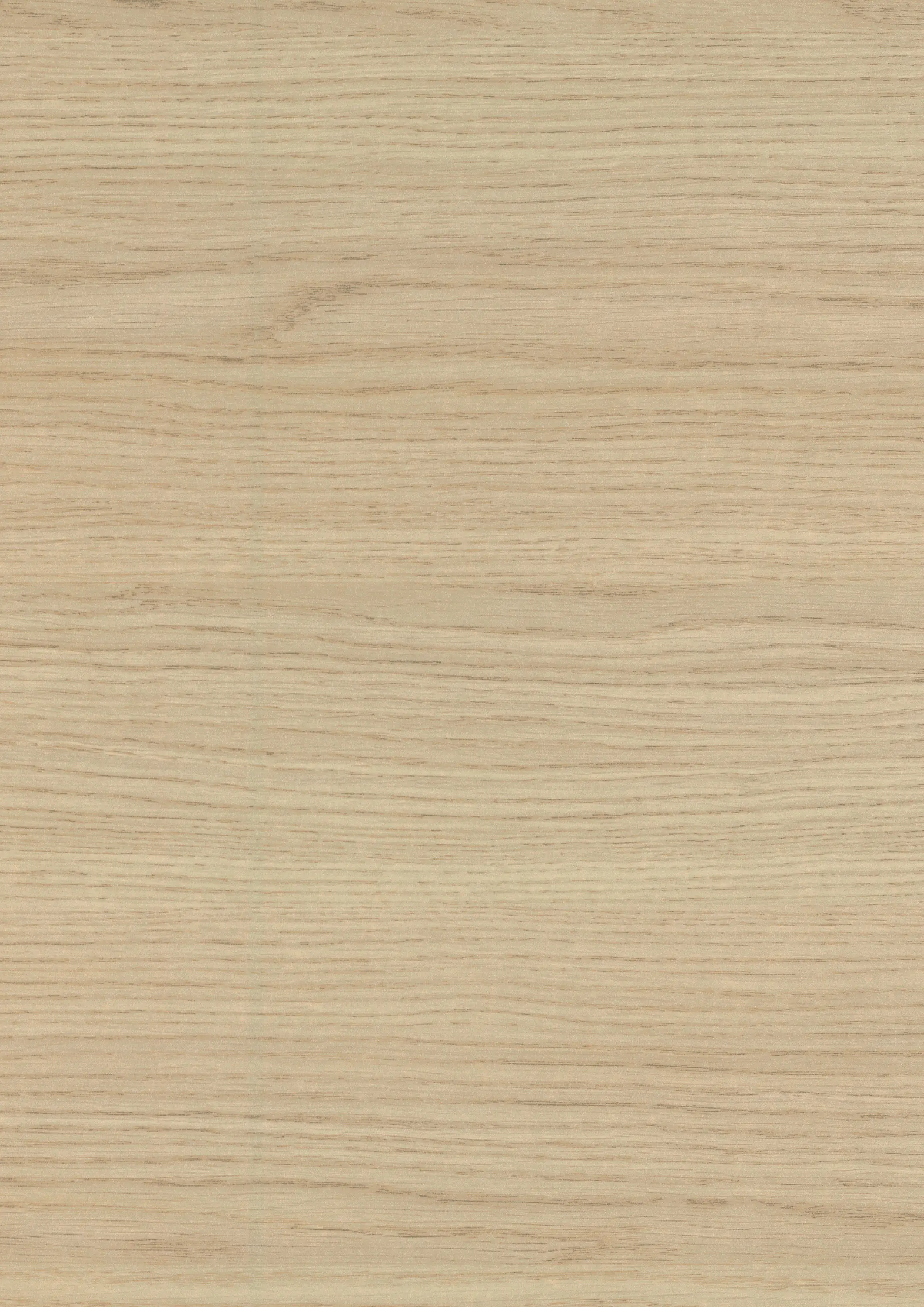 EGGER - H357 Rovere Vicenza trasversale STG4