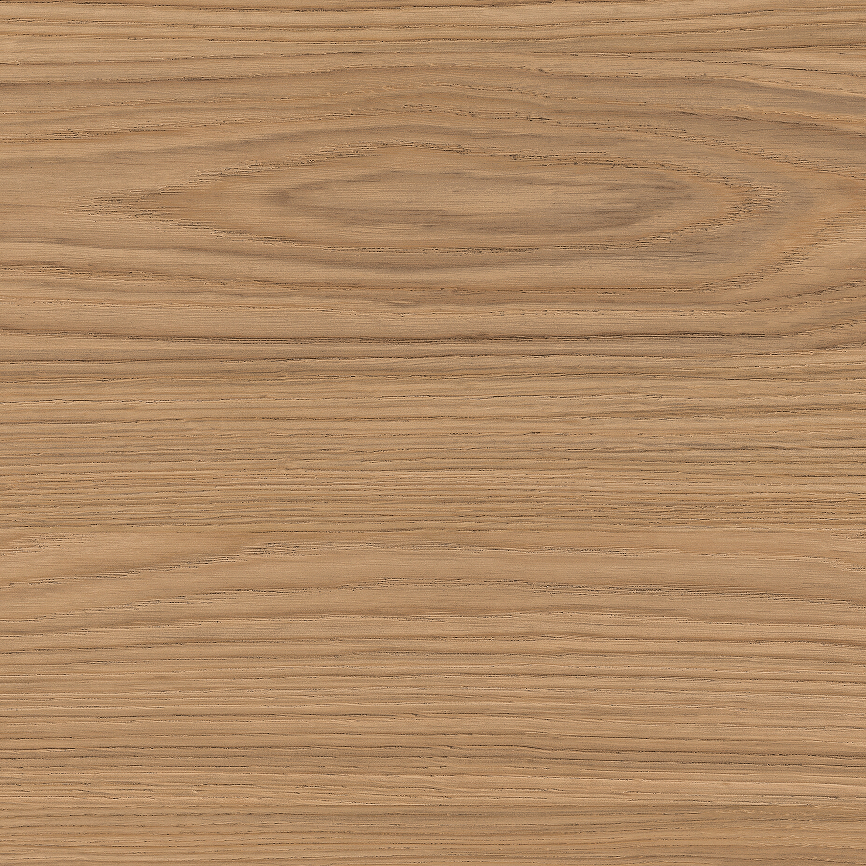 Mostra il prodotto H385 Natural Casella Oak ST71 del produttore EGGER