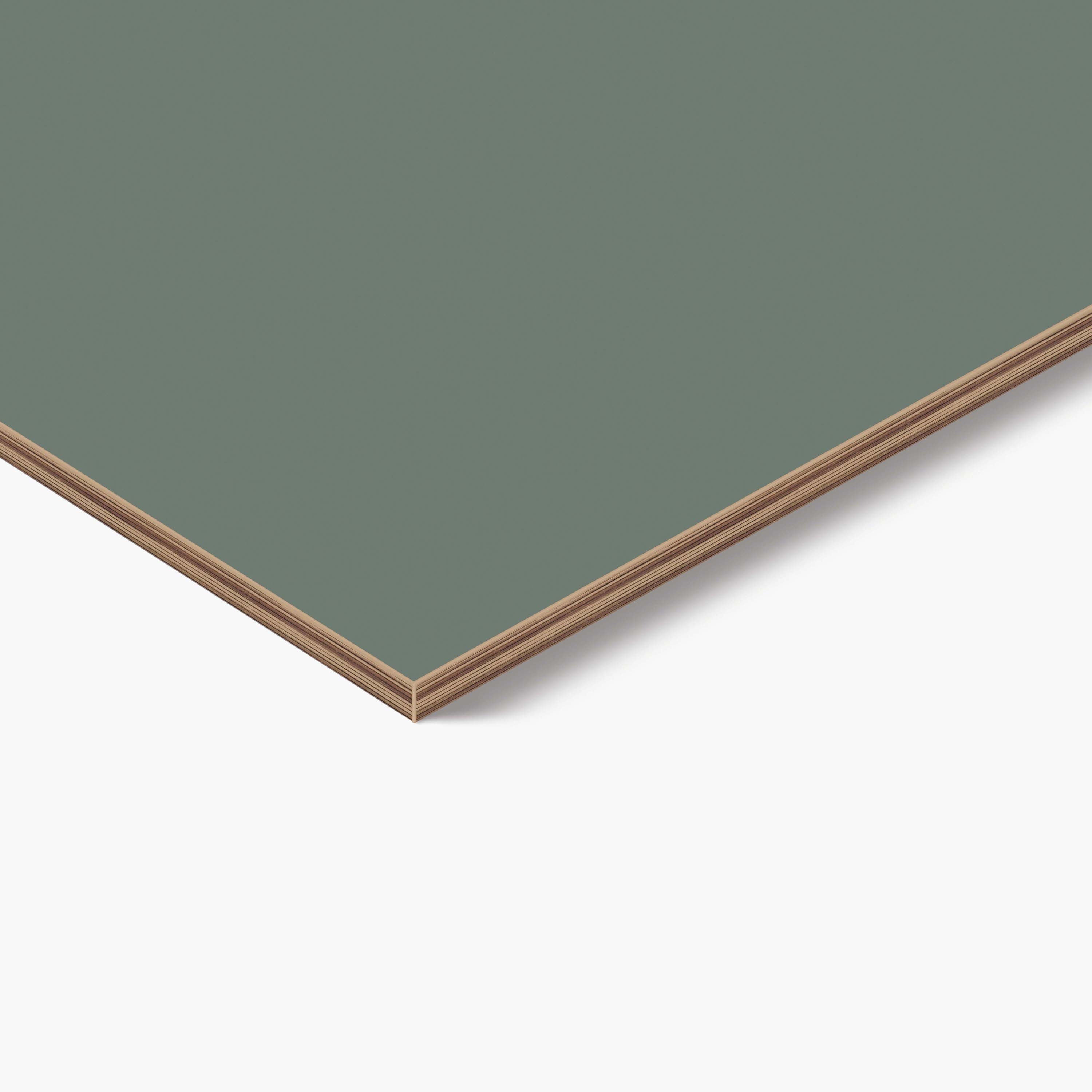 Afficher le produit H8915 ST10 Multiplex couleur du fabricant EGGER