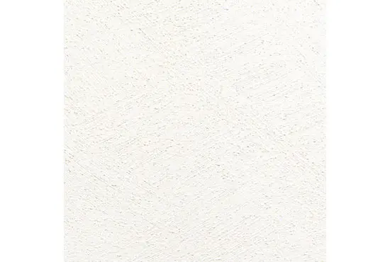 Claytec - Streichputz 18.050