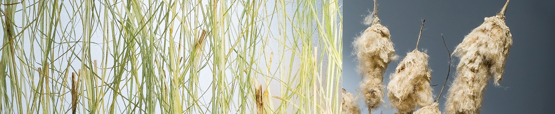 Scopri il mondo del produttore DesignPanel