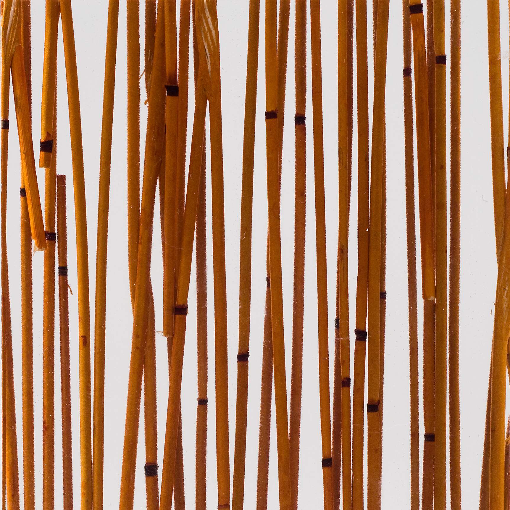 Produkt Invision bamboo curry des Herstellers DesignPanel anzeigen