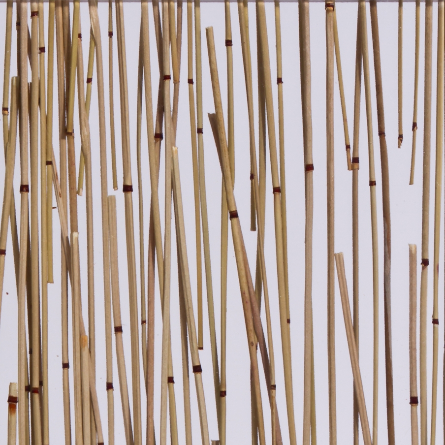 Produkt Invision bamboo nature brown des Herstellers DesignPanel anzeigen
