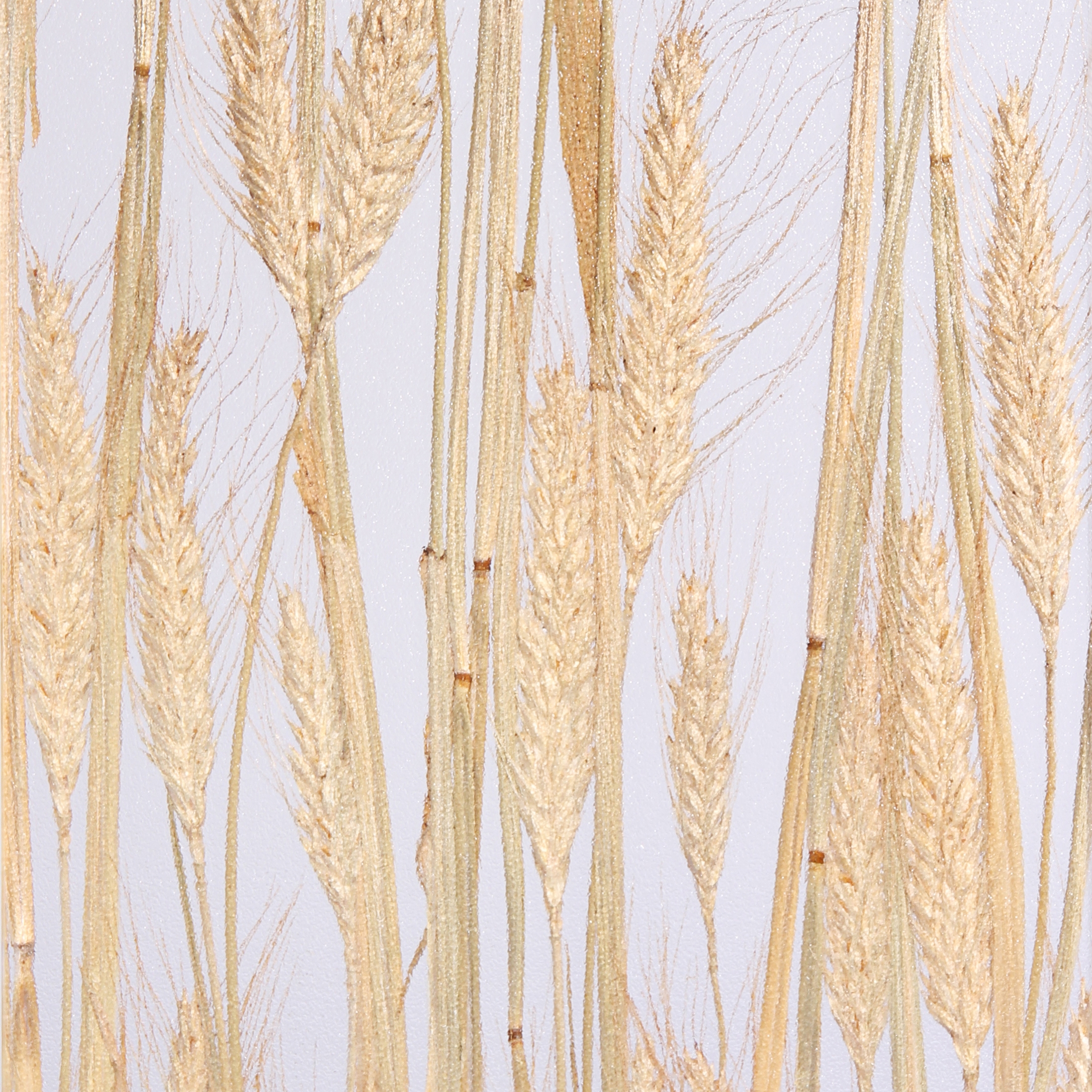 Produkt Invision corn des Herstellers DesignPanel anzeigen