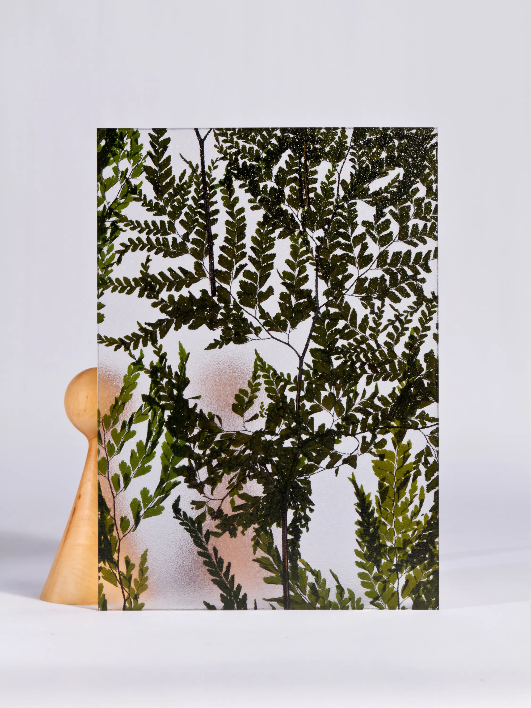 DesignPanel - Invision fern