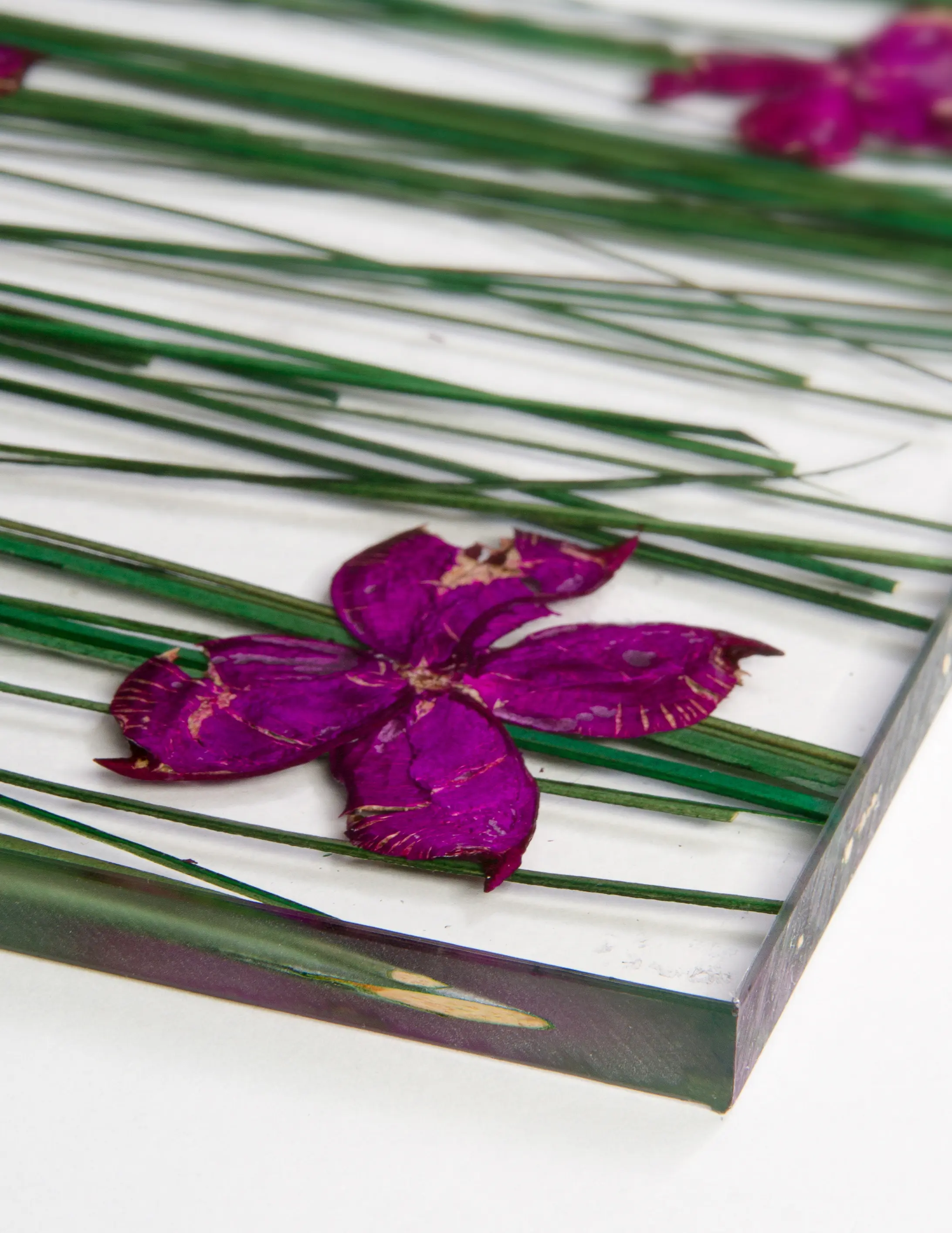 DesignPanel - Invision flowerfield