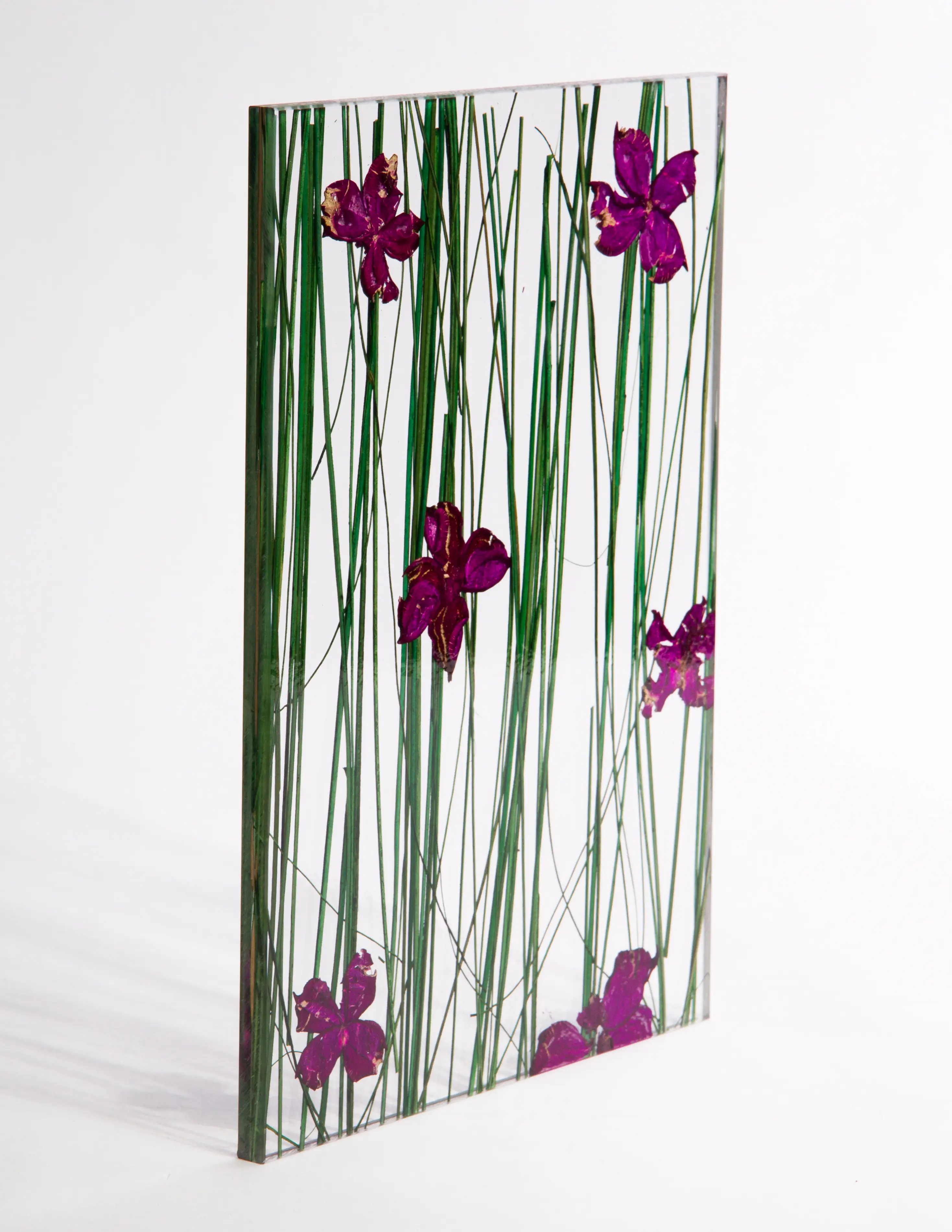 DesignPanel - Invision flowerfield