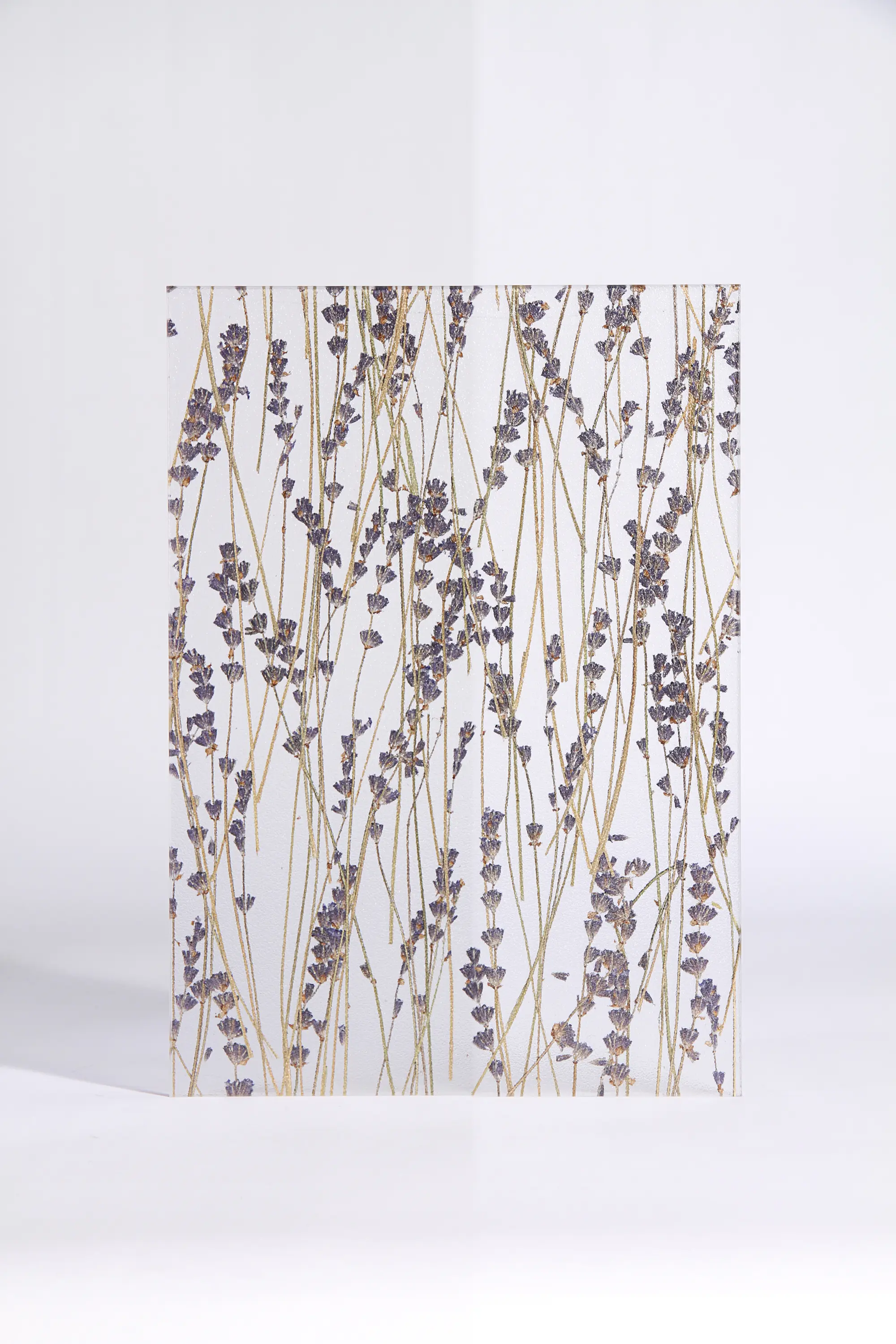 DesignPanel - Invision lavender