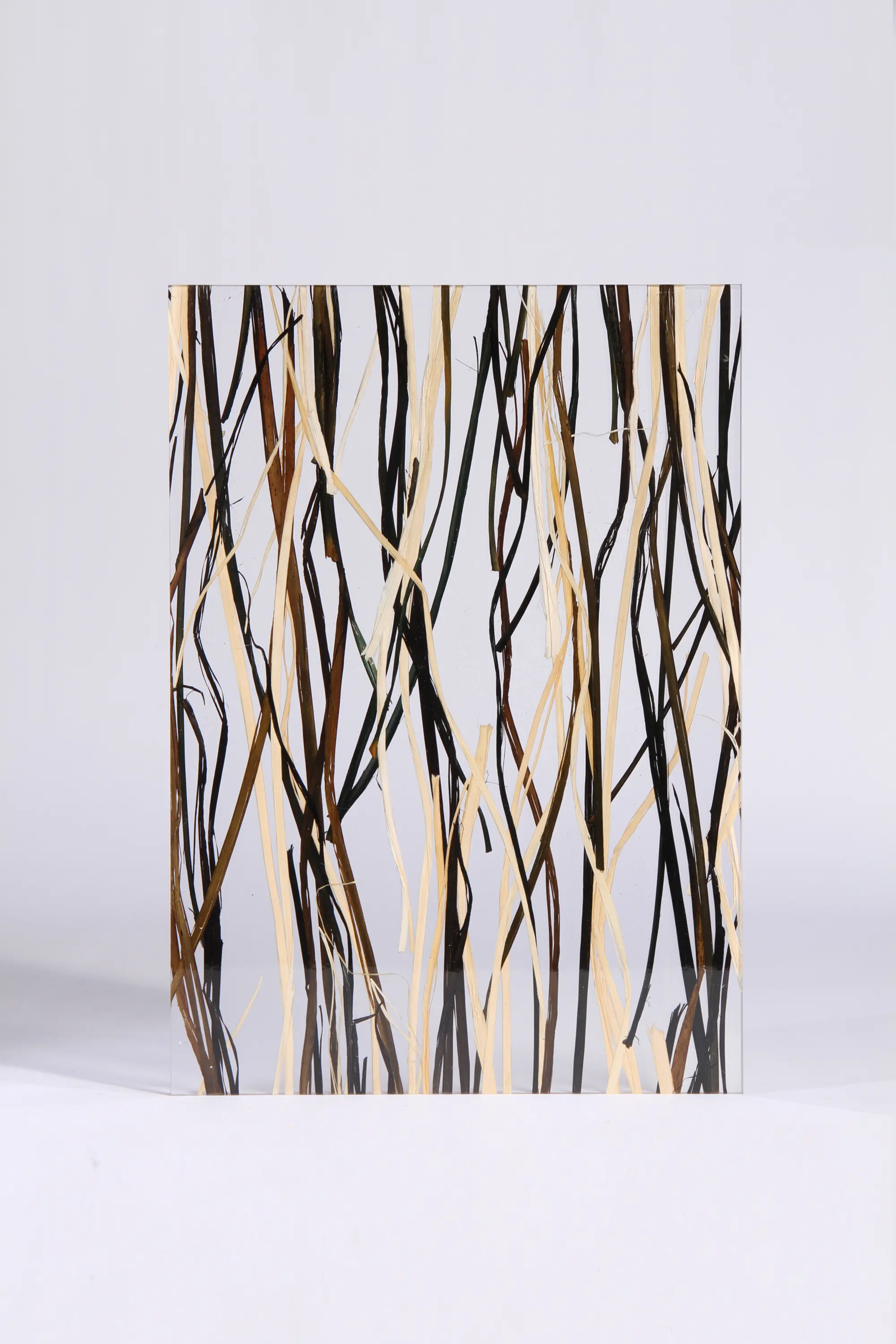 DesignPanel - Invision raffia