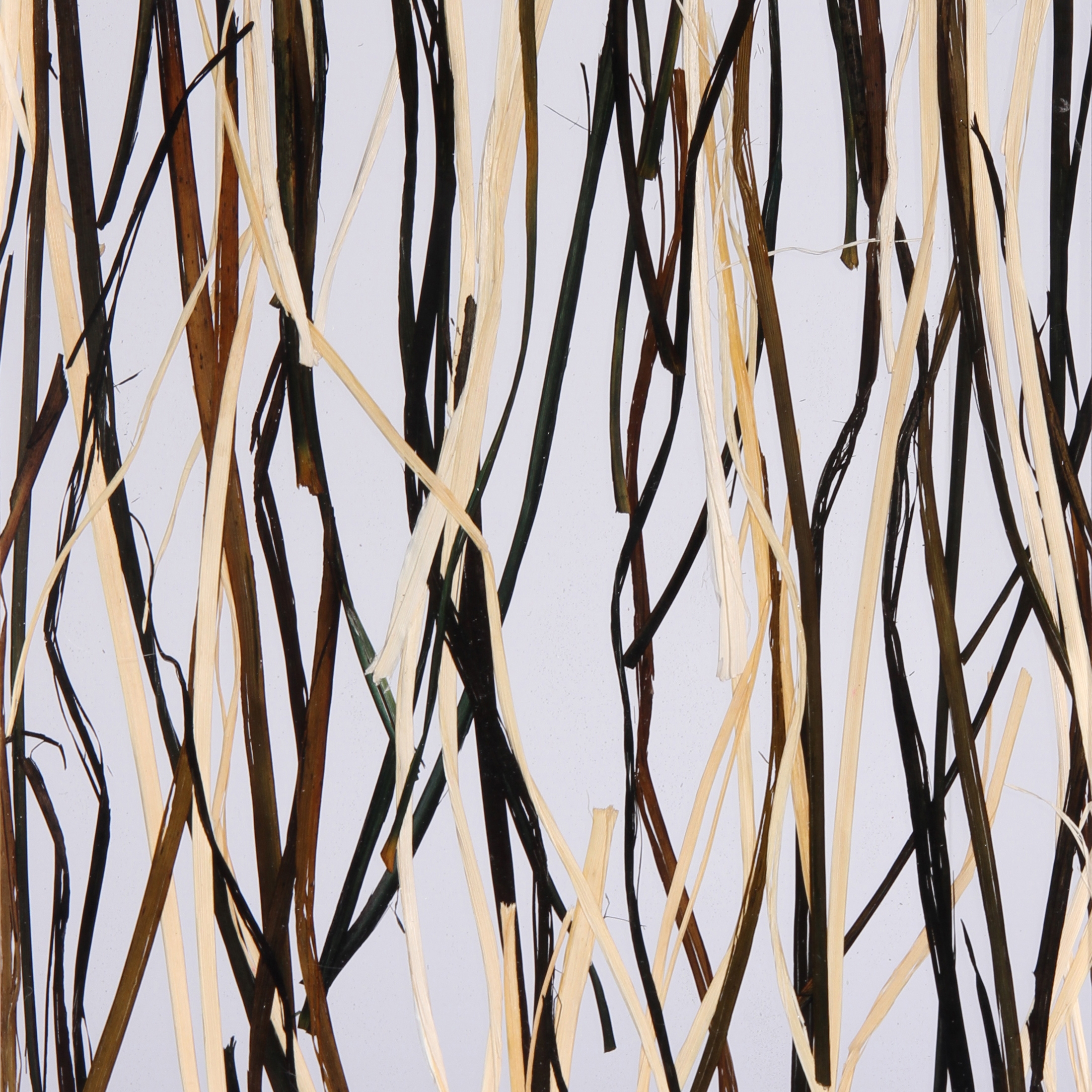 Produkt Invision raffia des Herstellers DesignPanel anzeigen