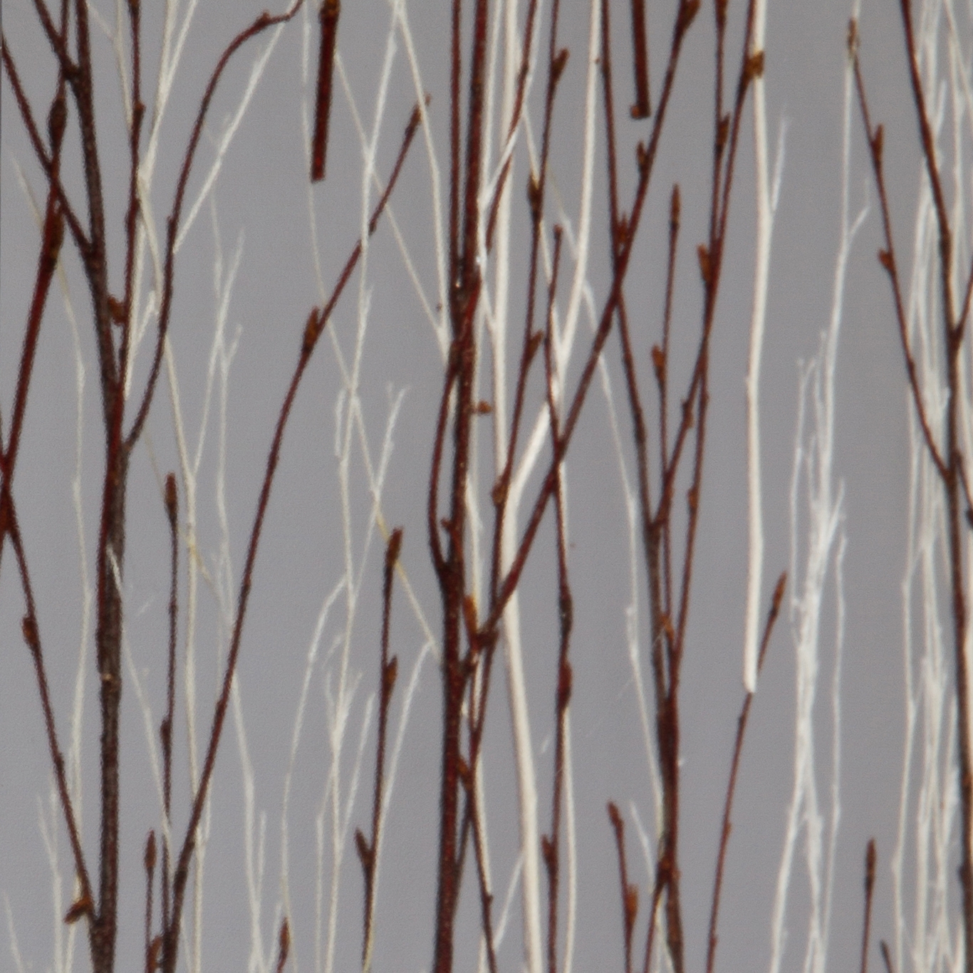 Produkt Invision twigs mix des Herstellers DesignPanel anzeigen