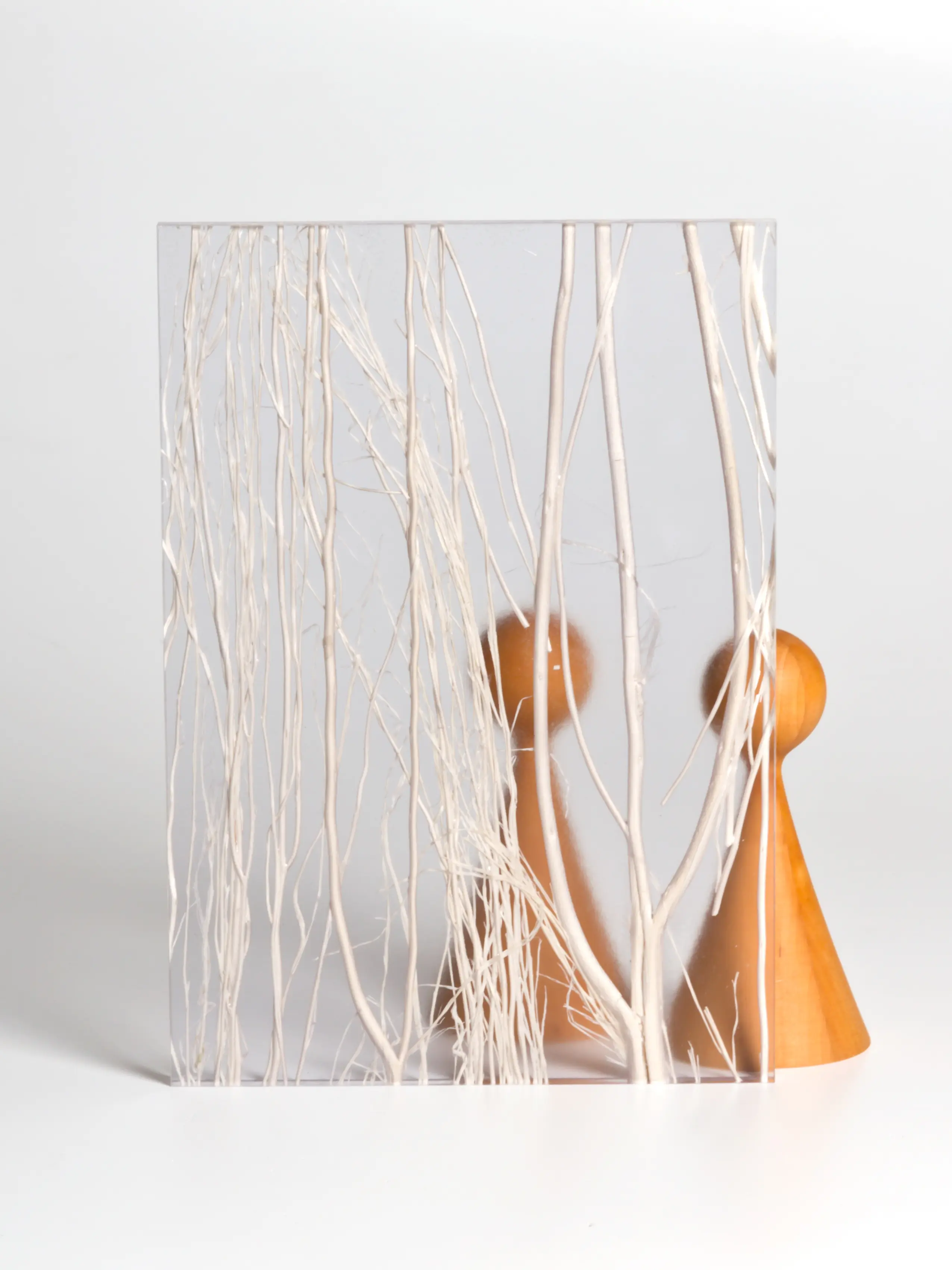 DesignPanel - Invision twigs white