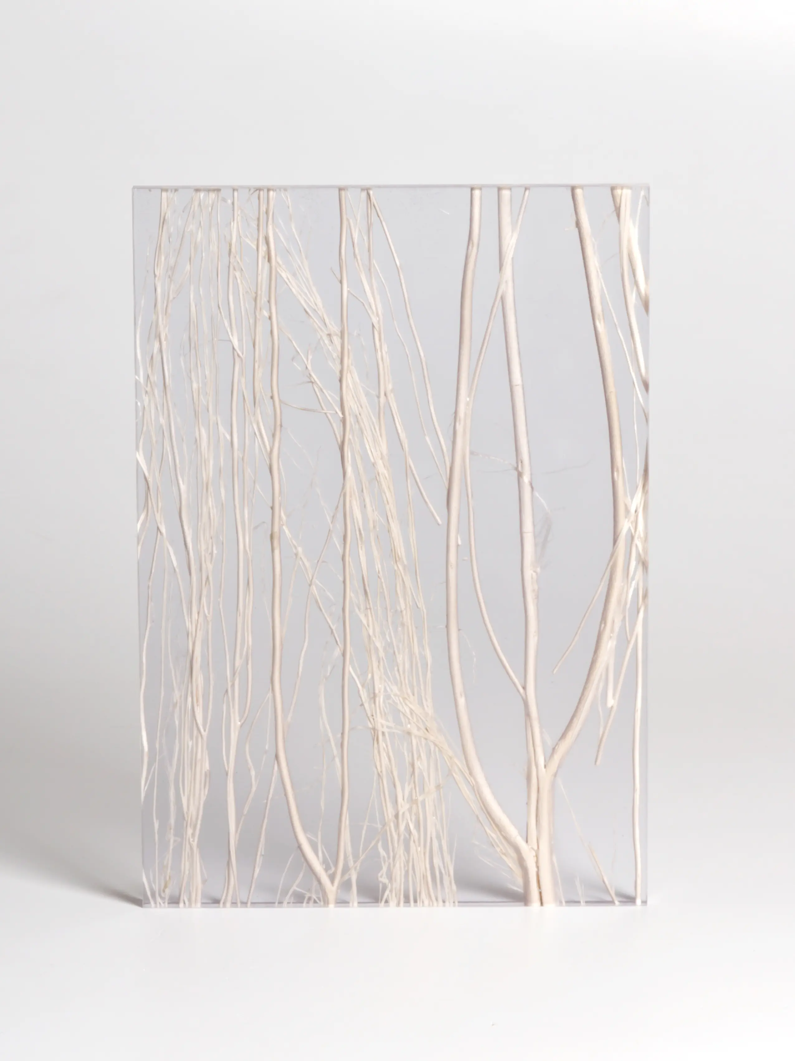 DesignPanel - Invision twigs white